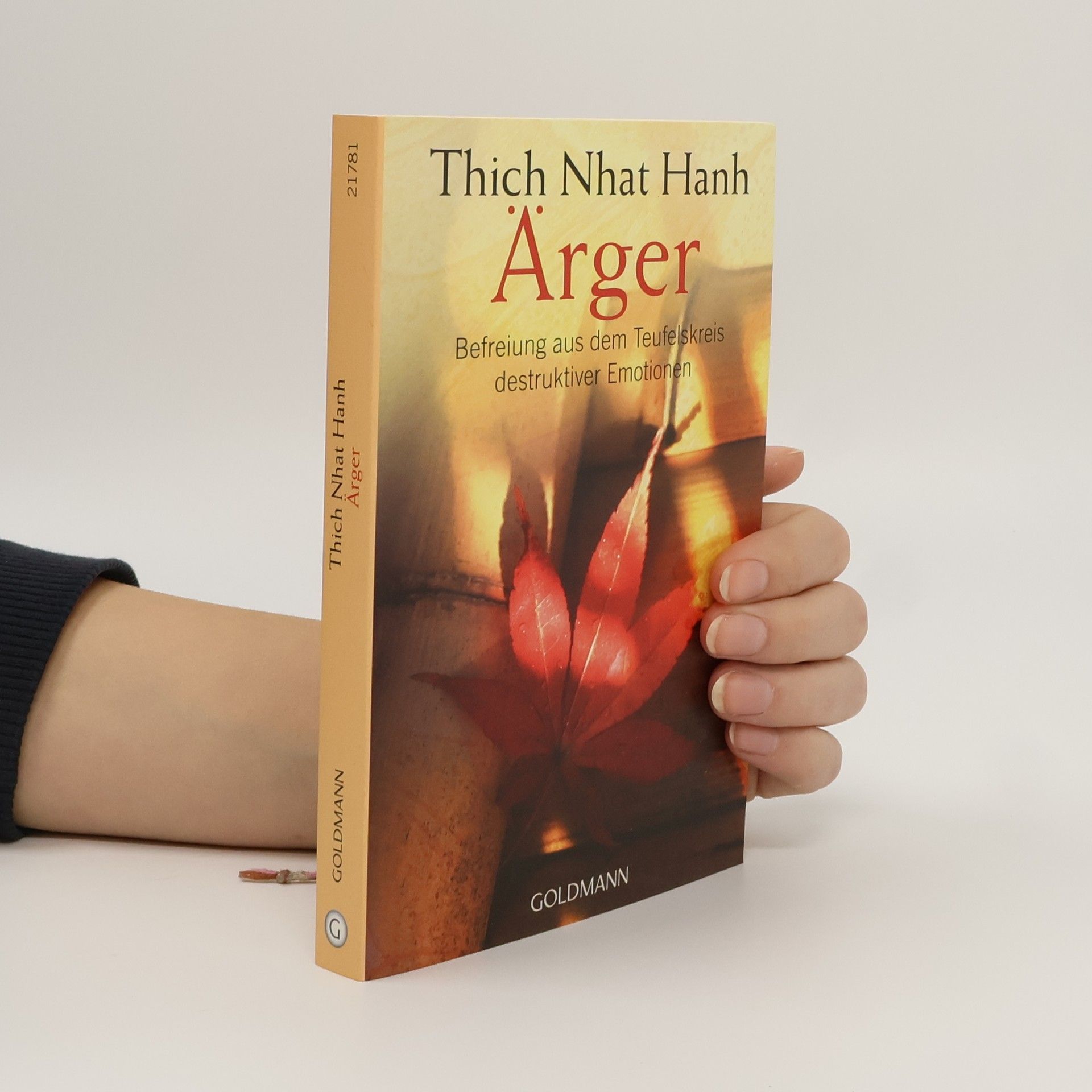 Thích Nhất Hạnh Ärger