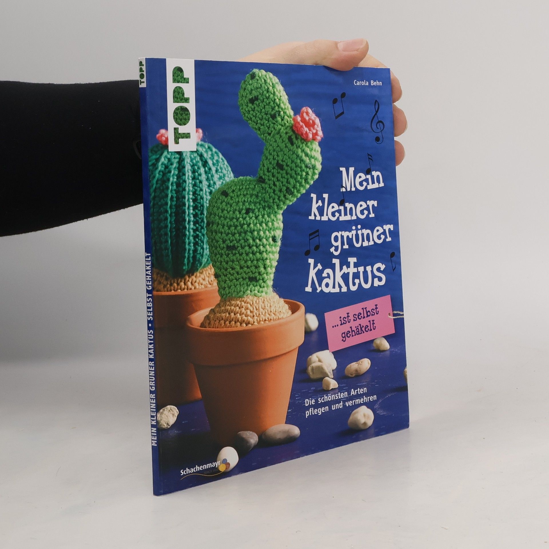 Mein kleiner grüner Kaktus ist selbst gehäkelt