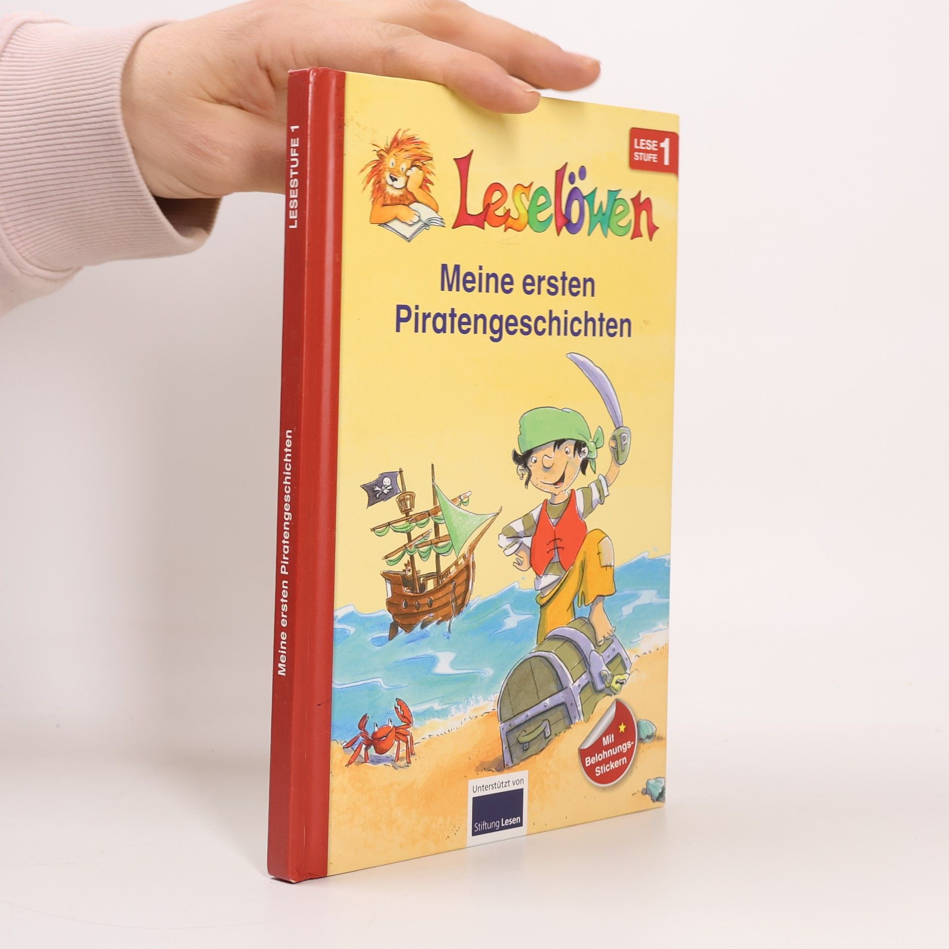 Kolektiv autorů Meine ersten Piratengeschichten