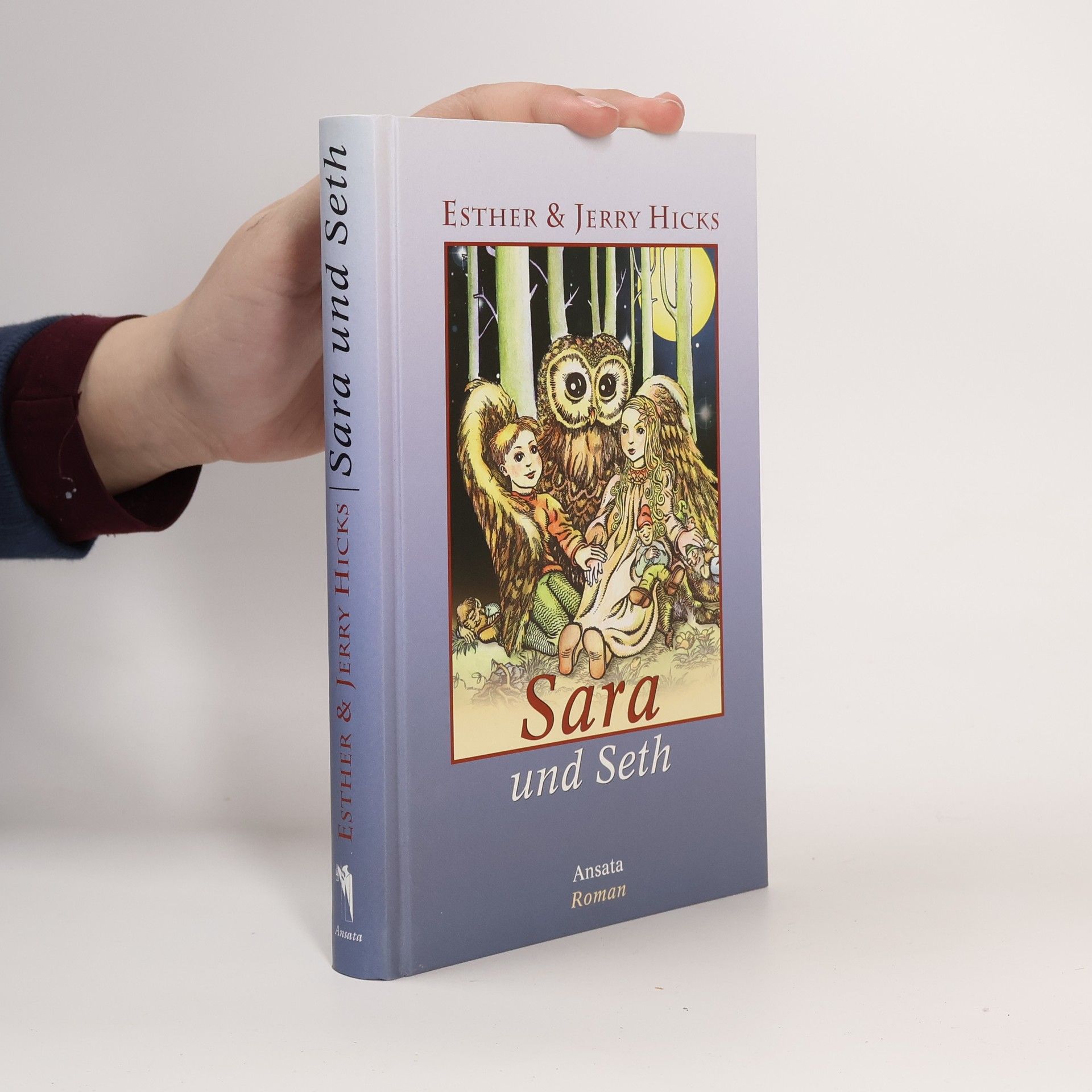 Esther Hicks Sara und Seth