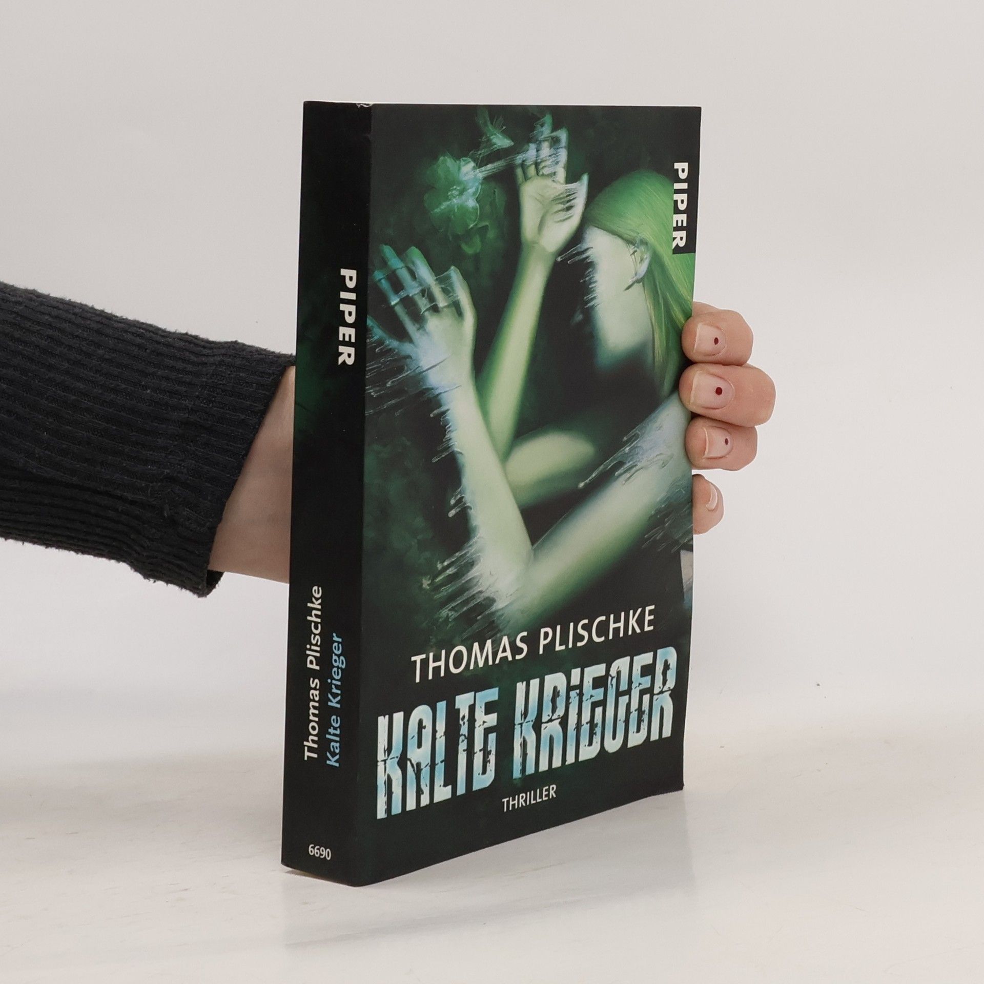 Thomas Plischke Kalte Krieger