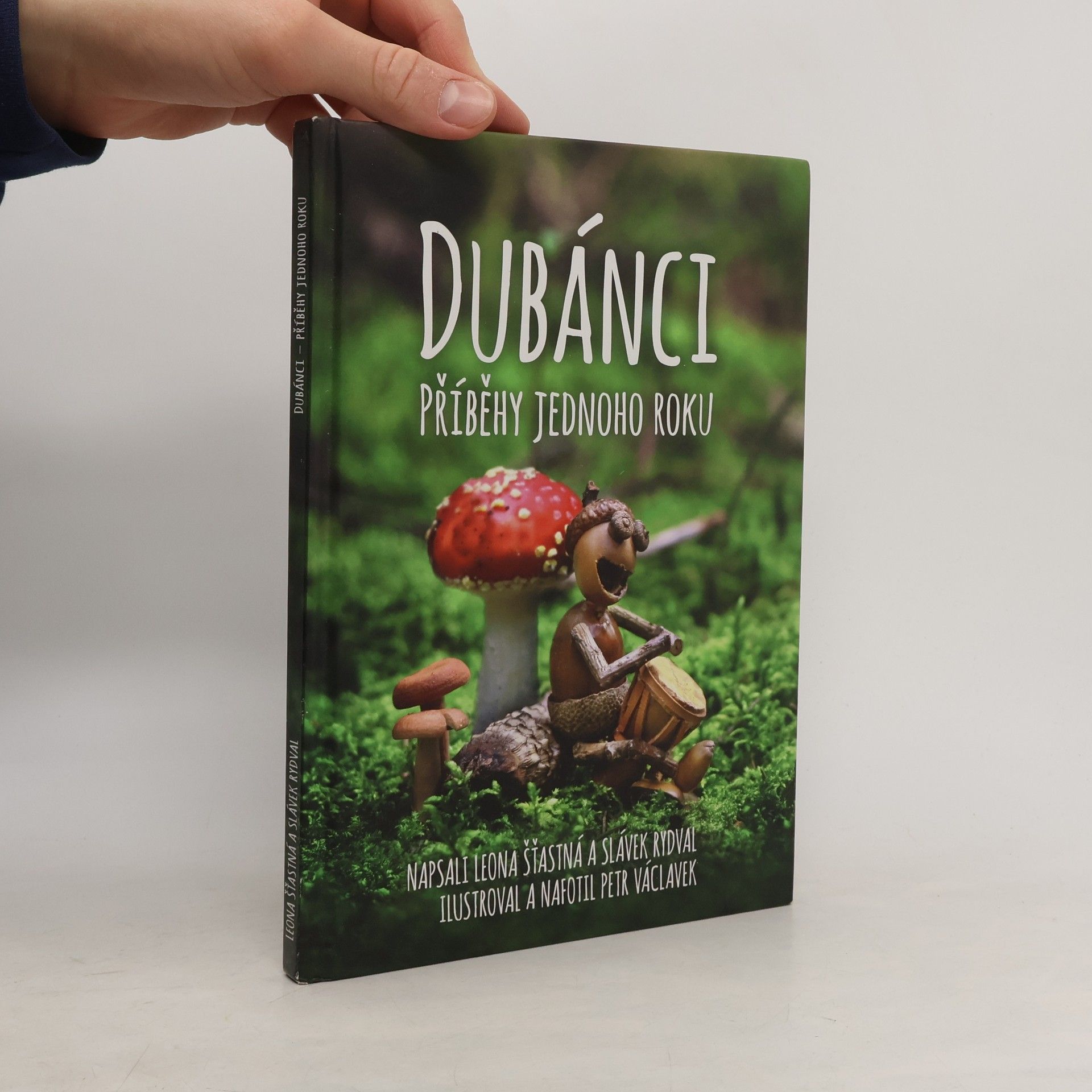 Dubánci: Příběhy jednoho roku