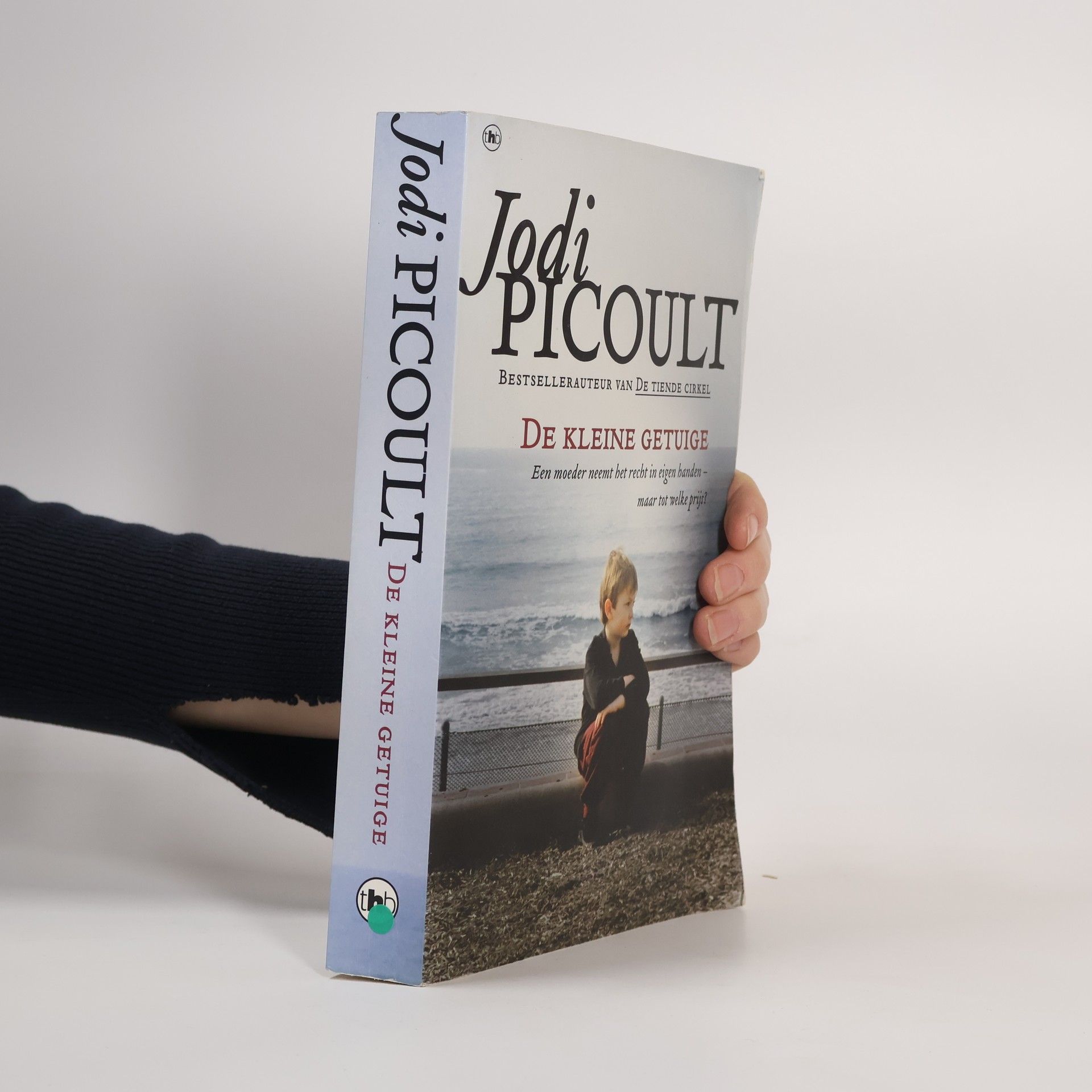 Jodi Picoult De kleine getuige