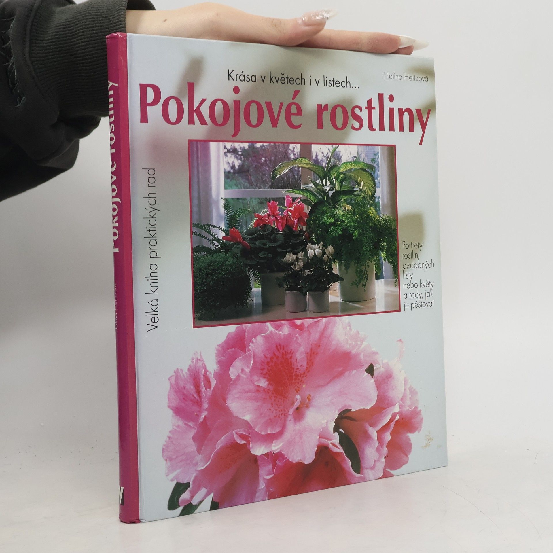 Pokojové rostliny: Krása v květech i listech