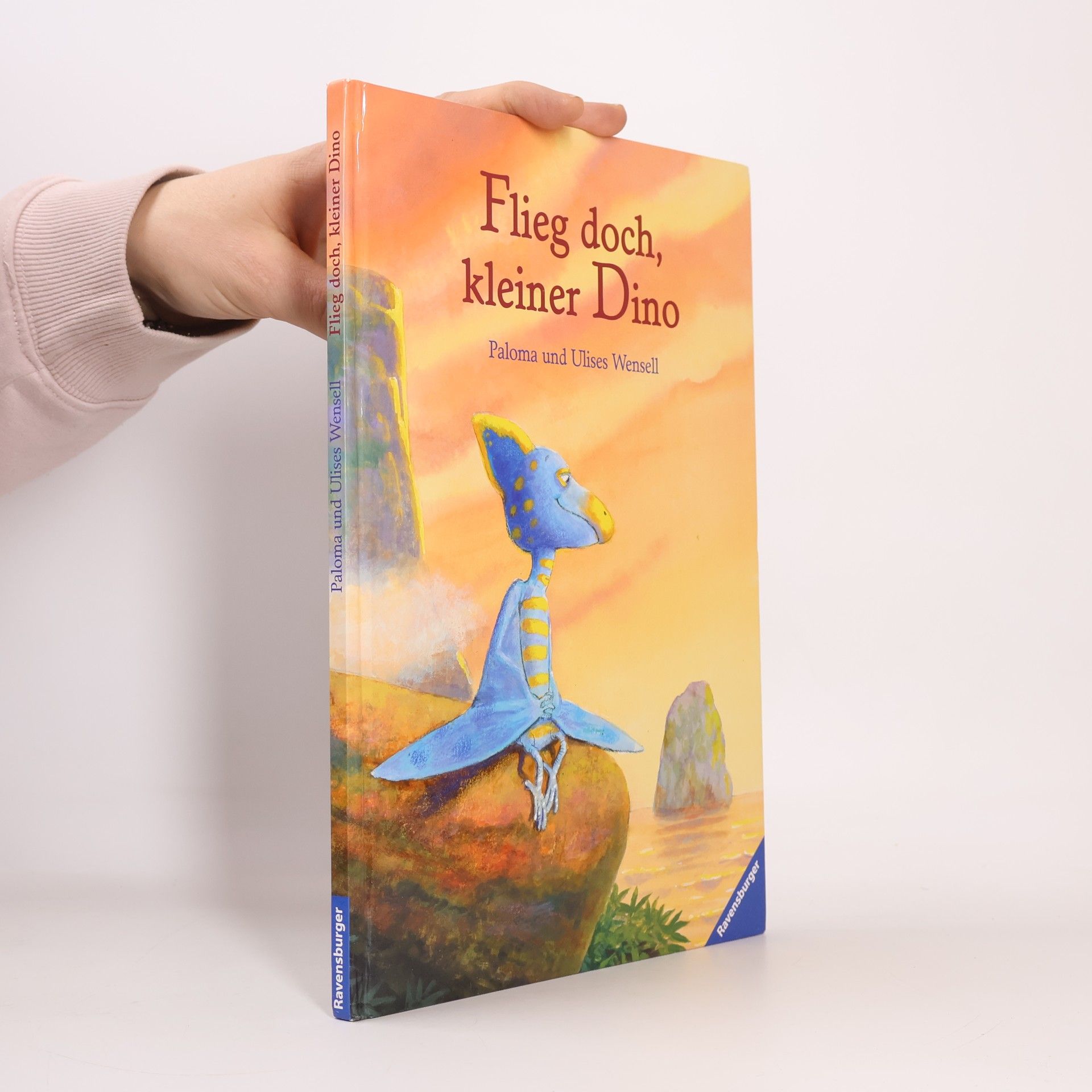 Paloma Wensell Flieg doch, kleiner Dino!