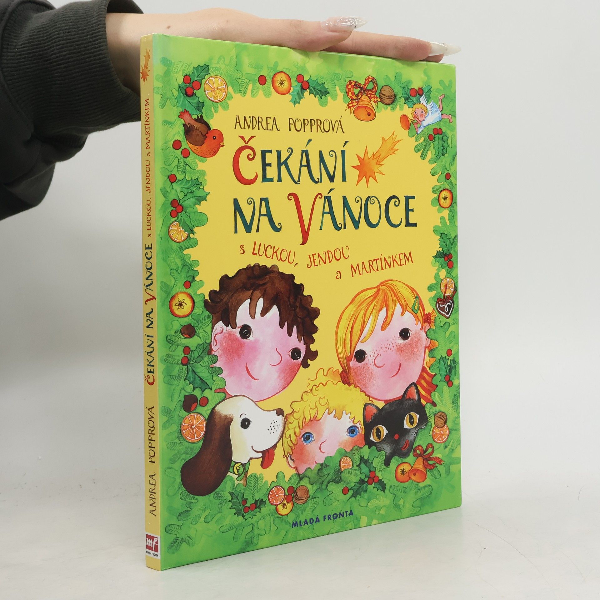 Andrea Popprová Čekání na Vánoce : s Luckou, Jendou a Martínkem