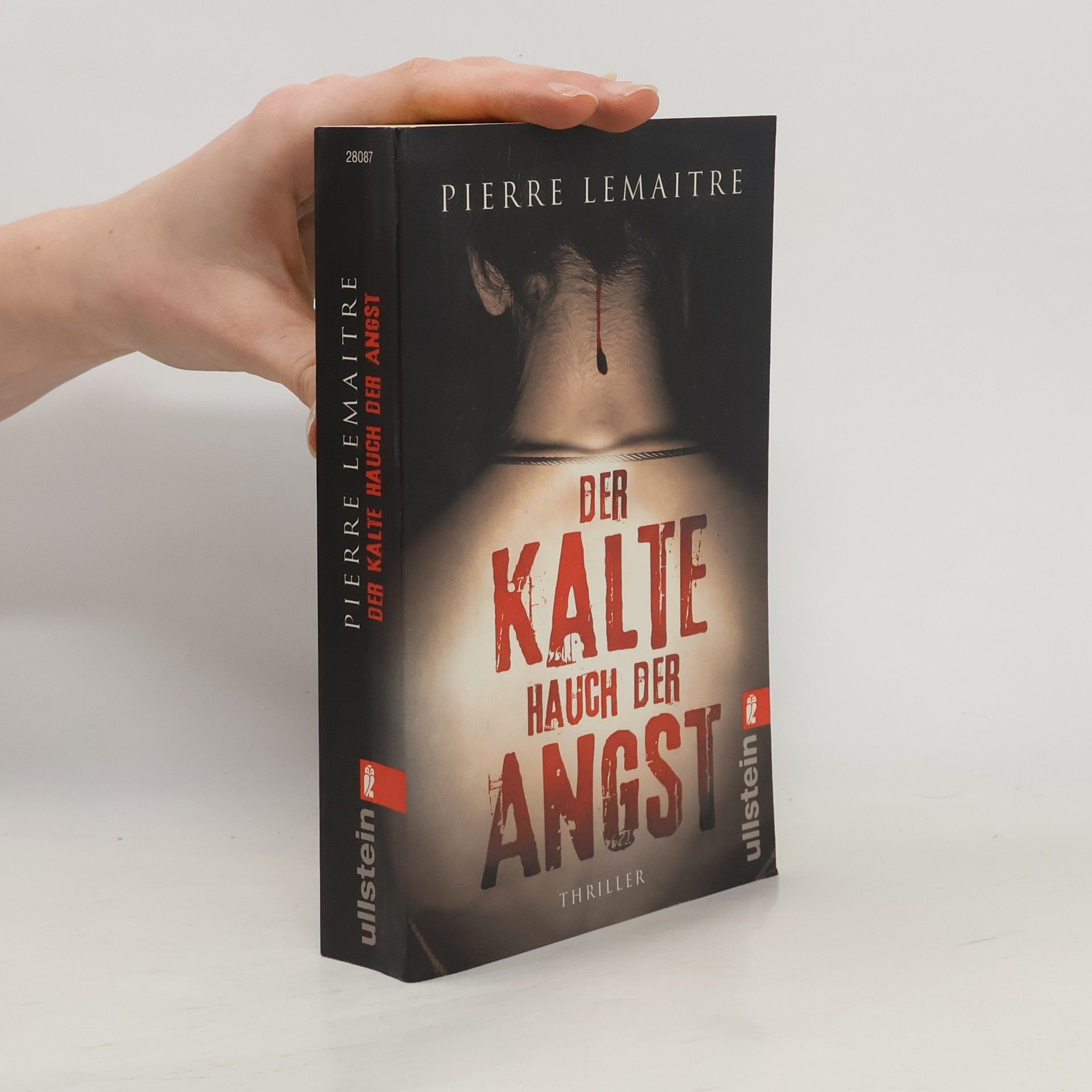 Pierre Lemaitre Der Kalte Hauch der Angst