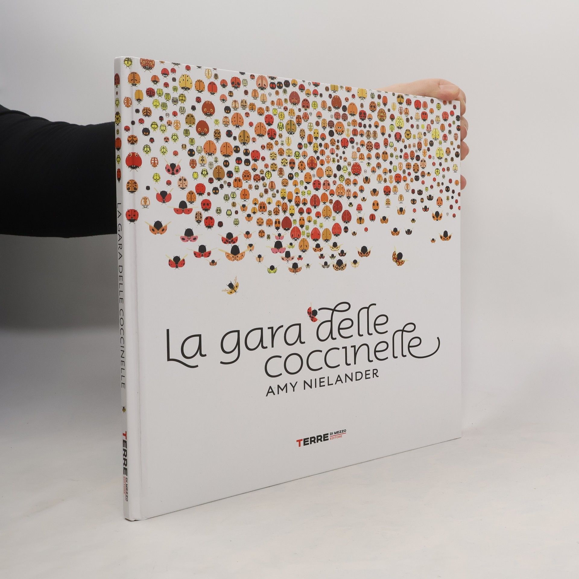 Amy Nielander La gara delle coccinelle