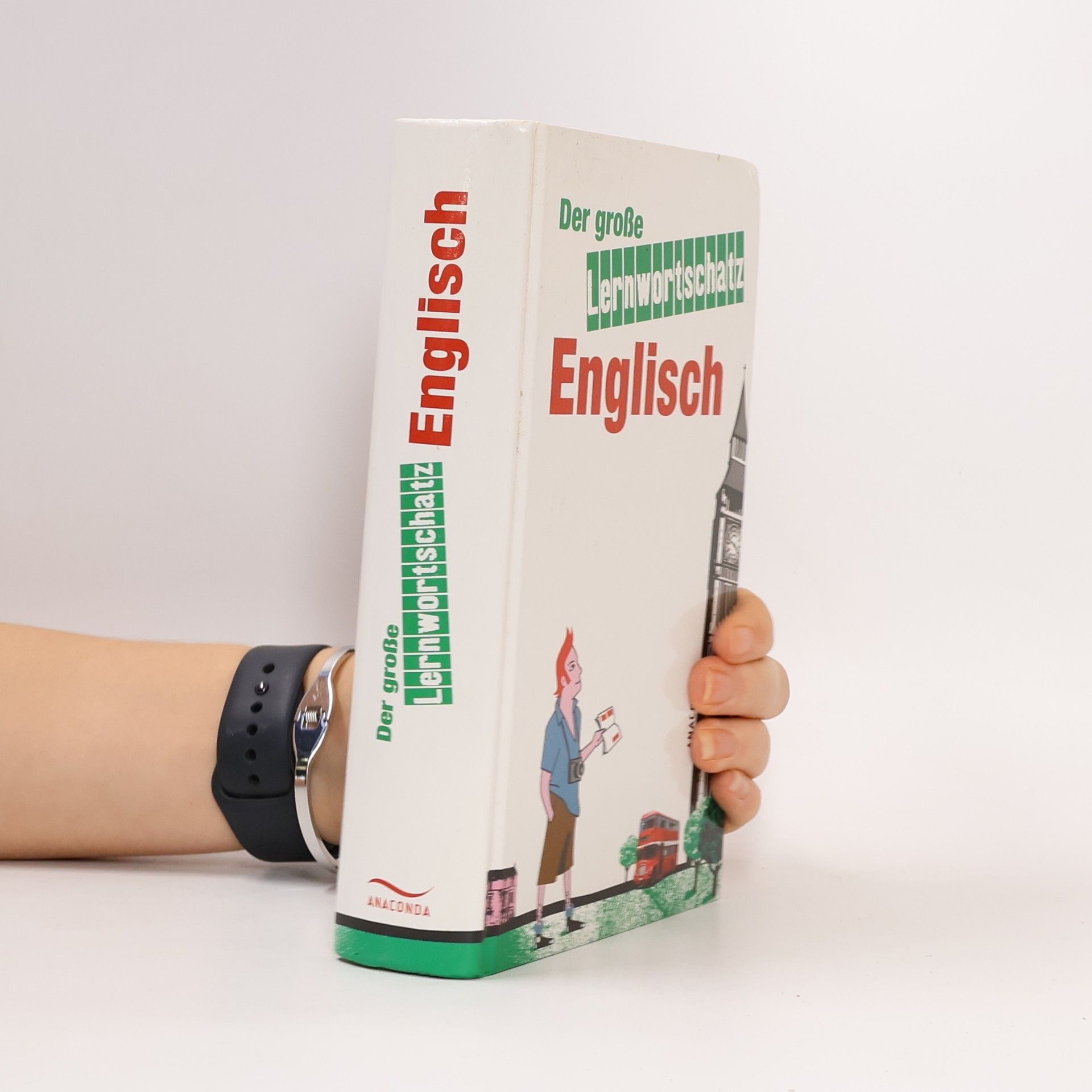 Der große Lernwortschatz Englisch