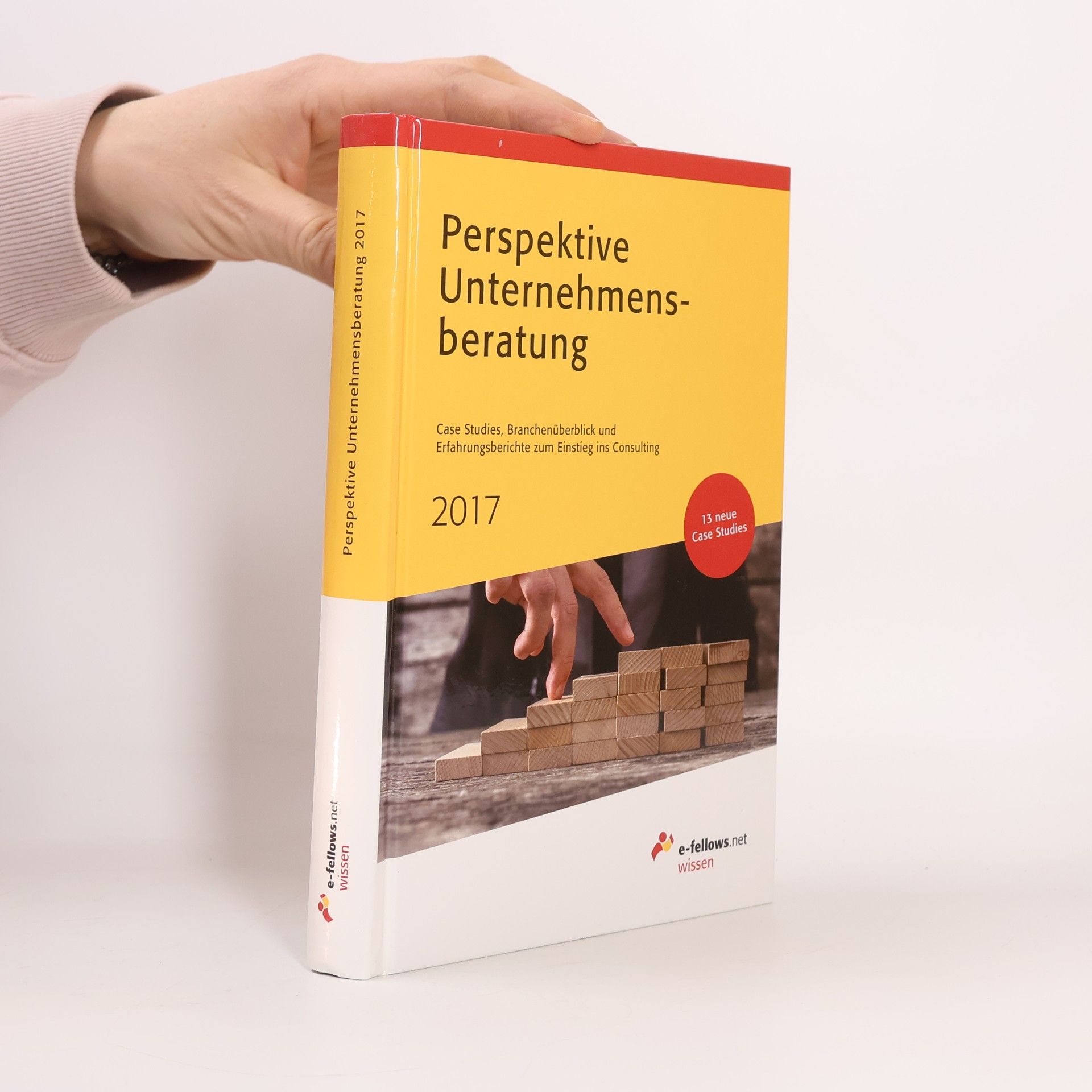 Michael Hies Perspektive Unternehmensberatung 2017