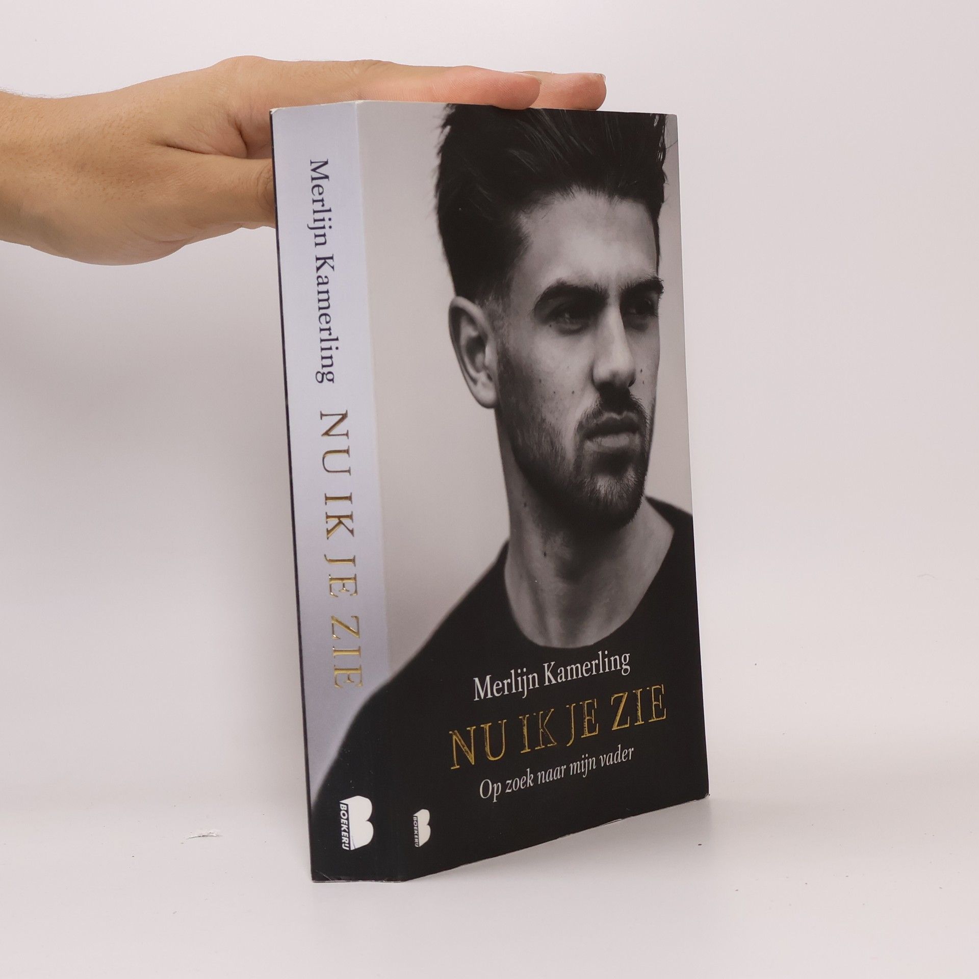 Merlijn Kamerling Nu ik je zie