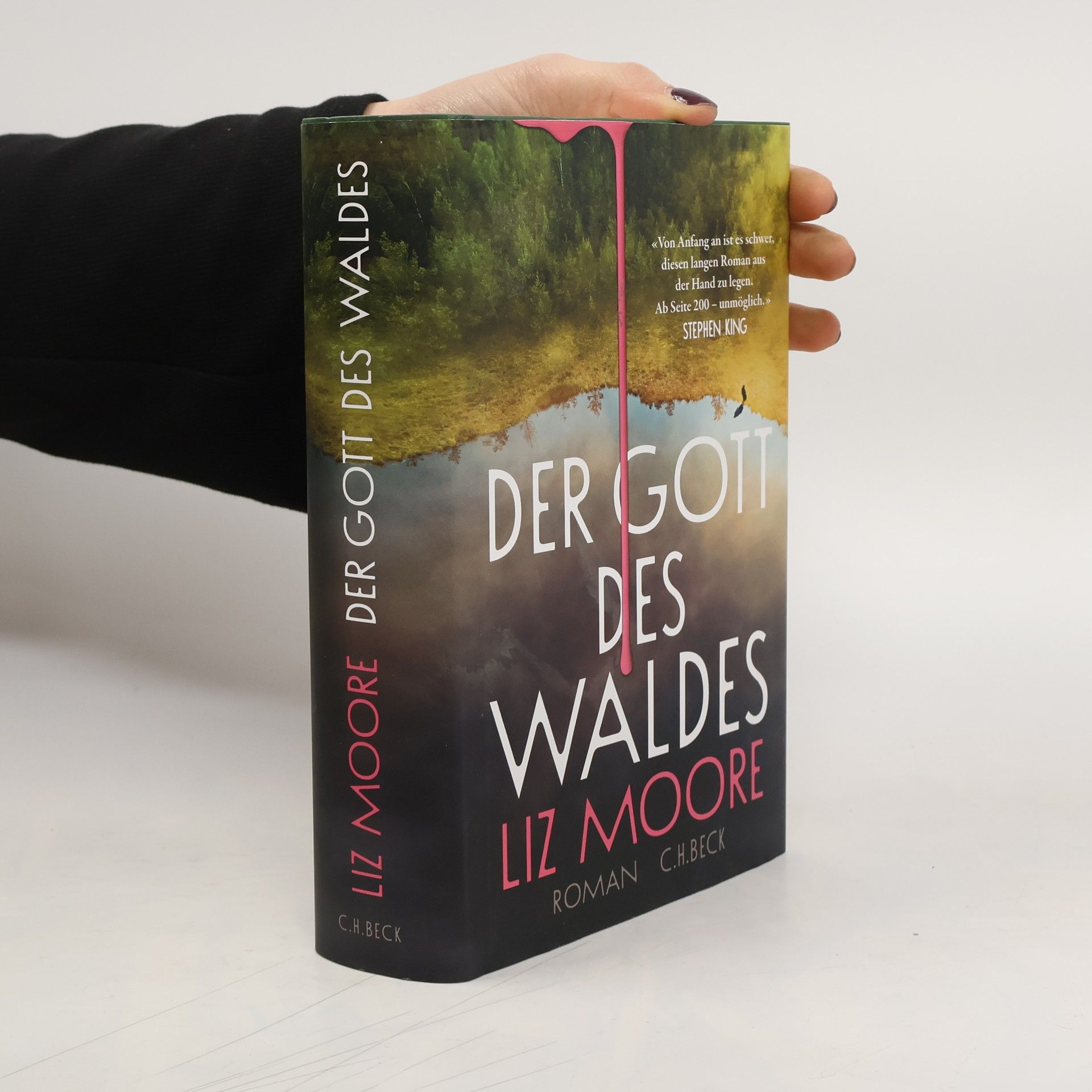 Liz Moore Der Gott des Waldes