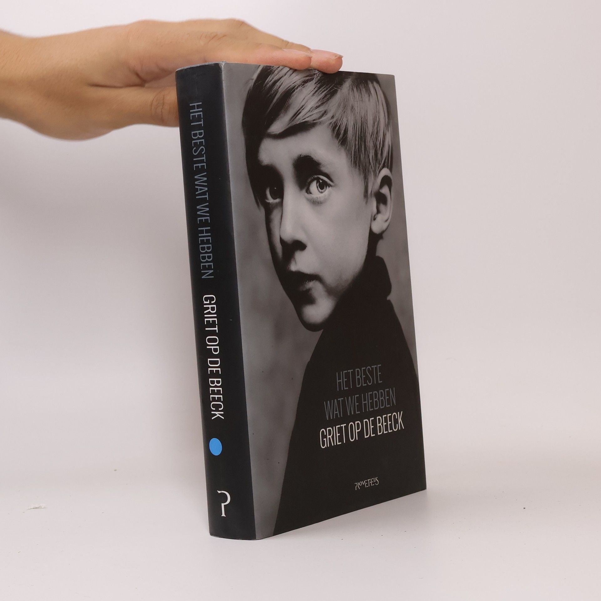 Griet Op de Beeck Het beste wat we hebben