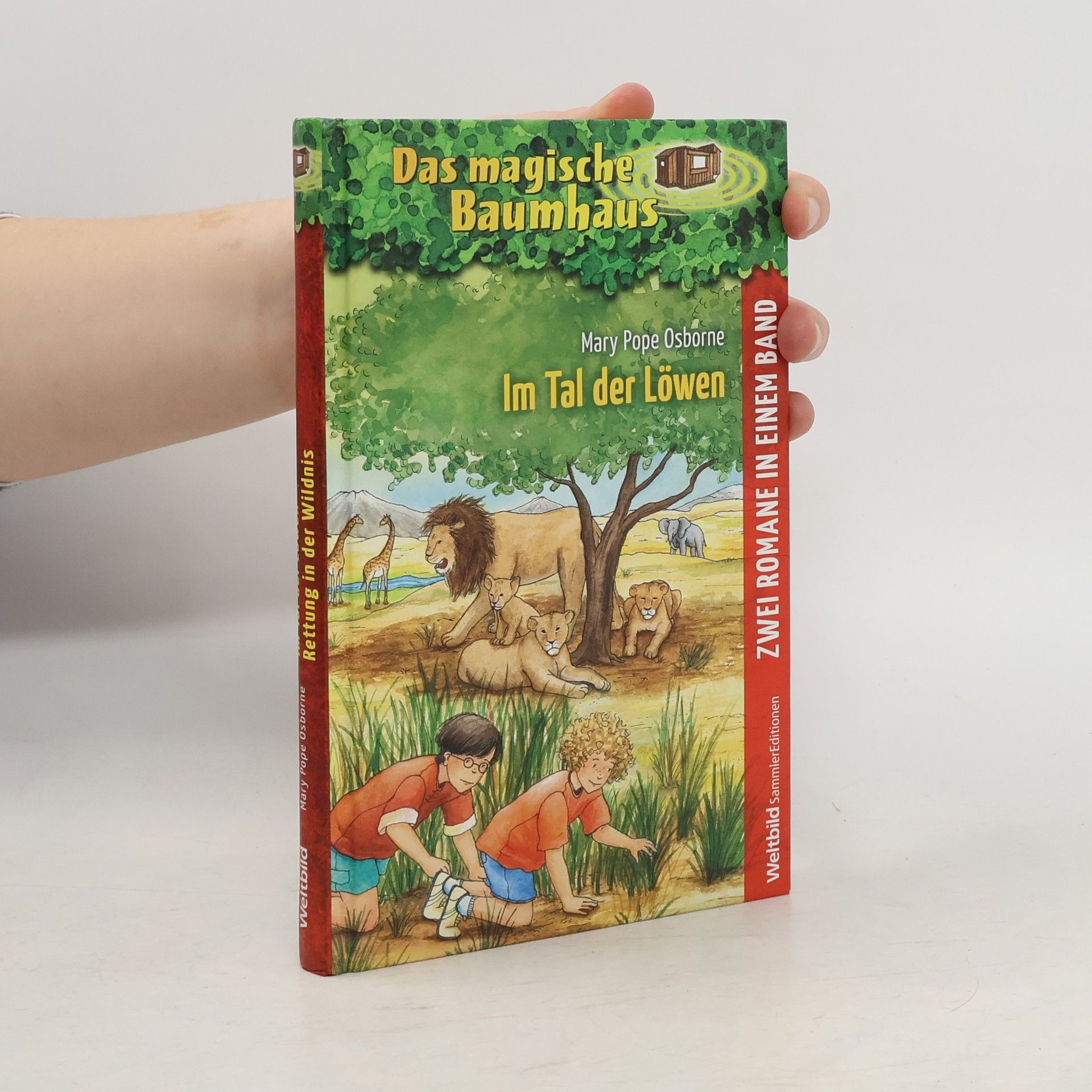Mary Pope Osborne Das magische Baumhaus. Im Tal der Löwen