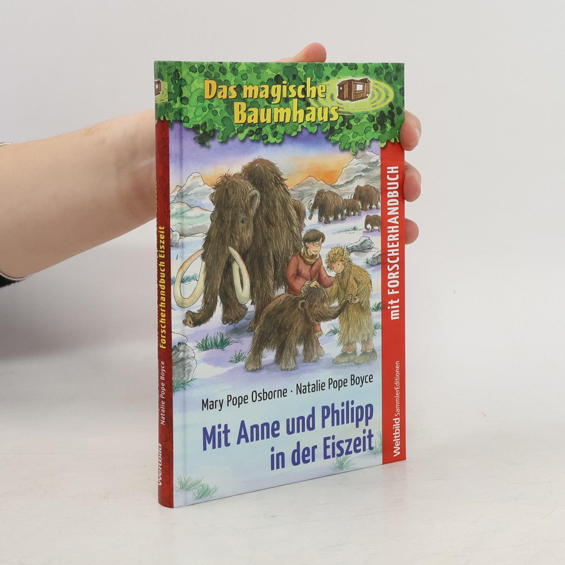 Mary Pope Osborne Das magische Baumhaus - mit Anne und Philipp in der Eiszeit