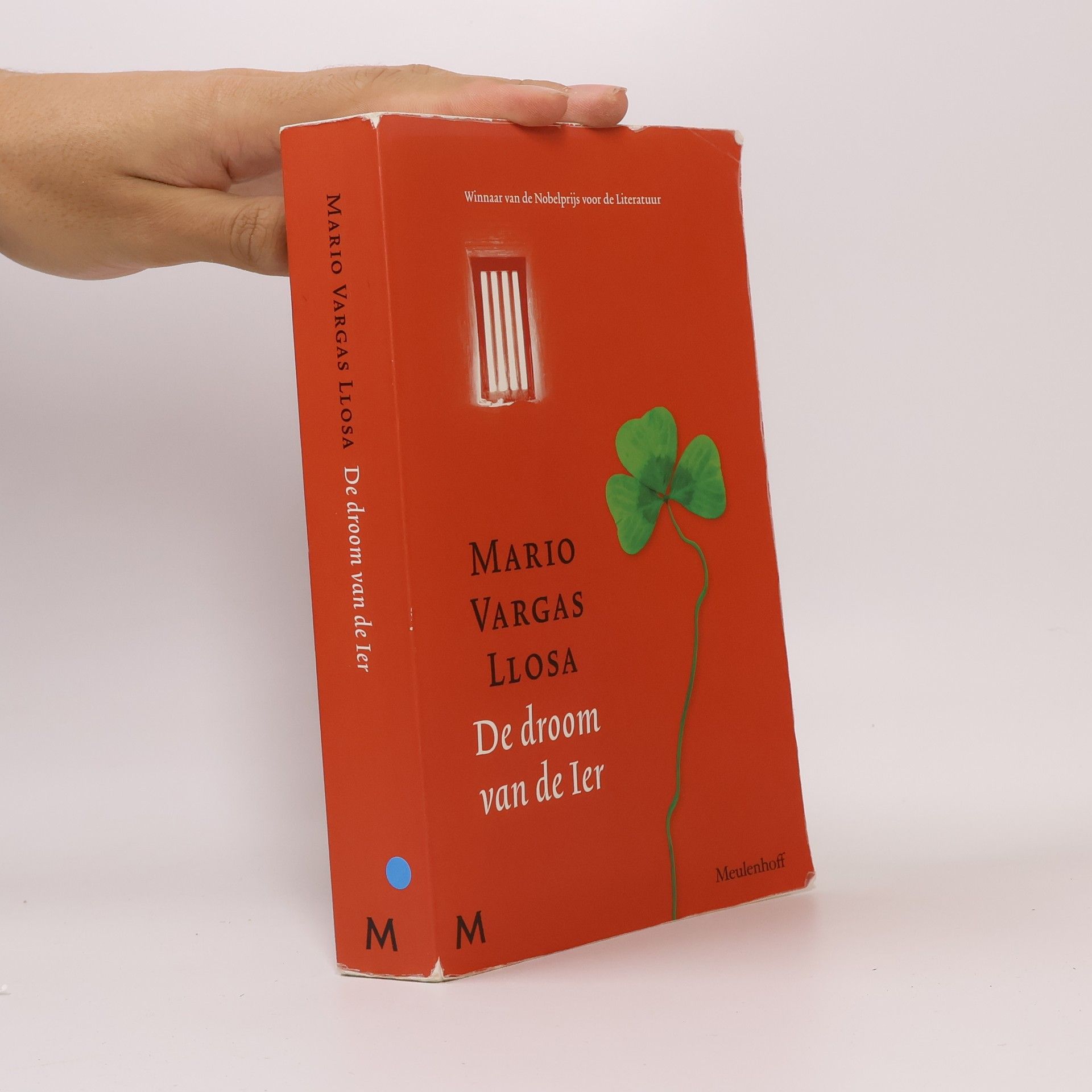 Mario Vargas Llosa De droom van de Ier - druk 2