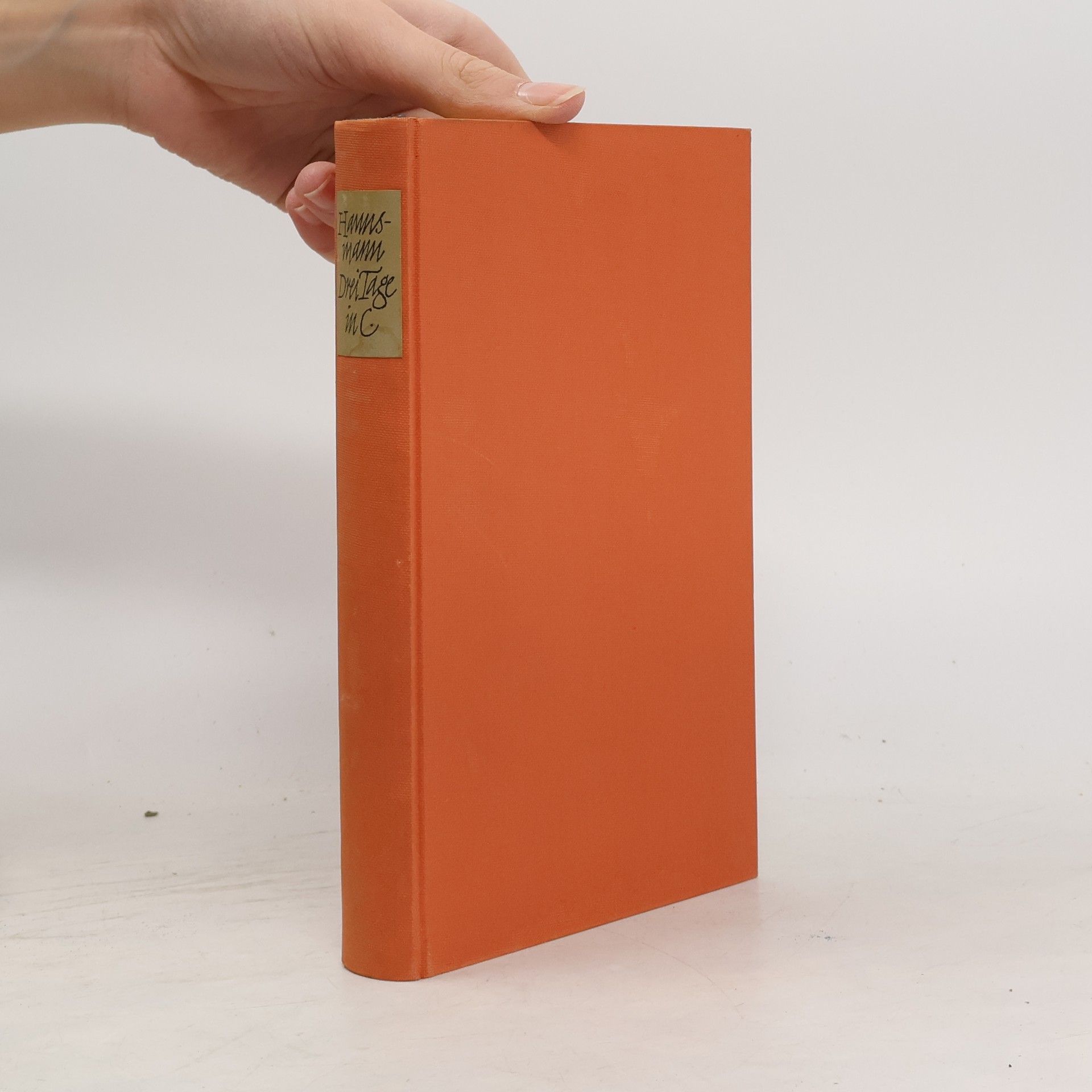 Margarete Hannsmann Drei Tage in C