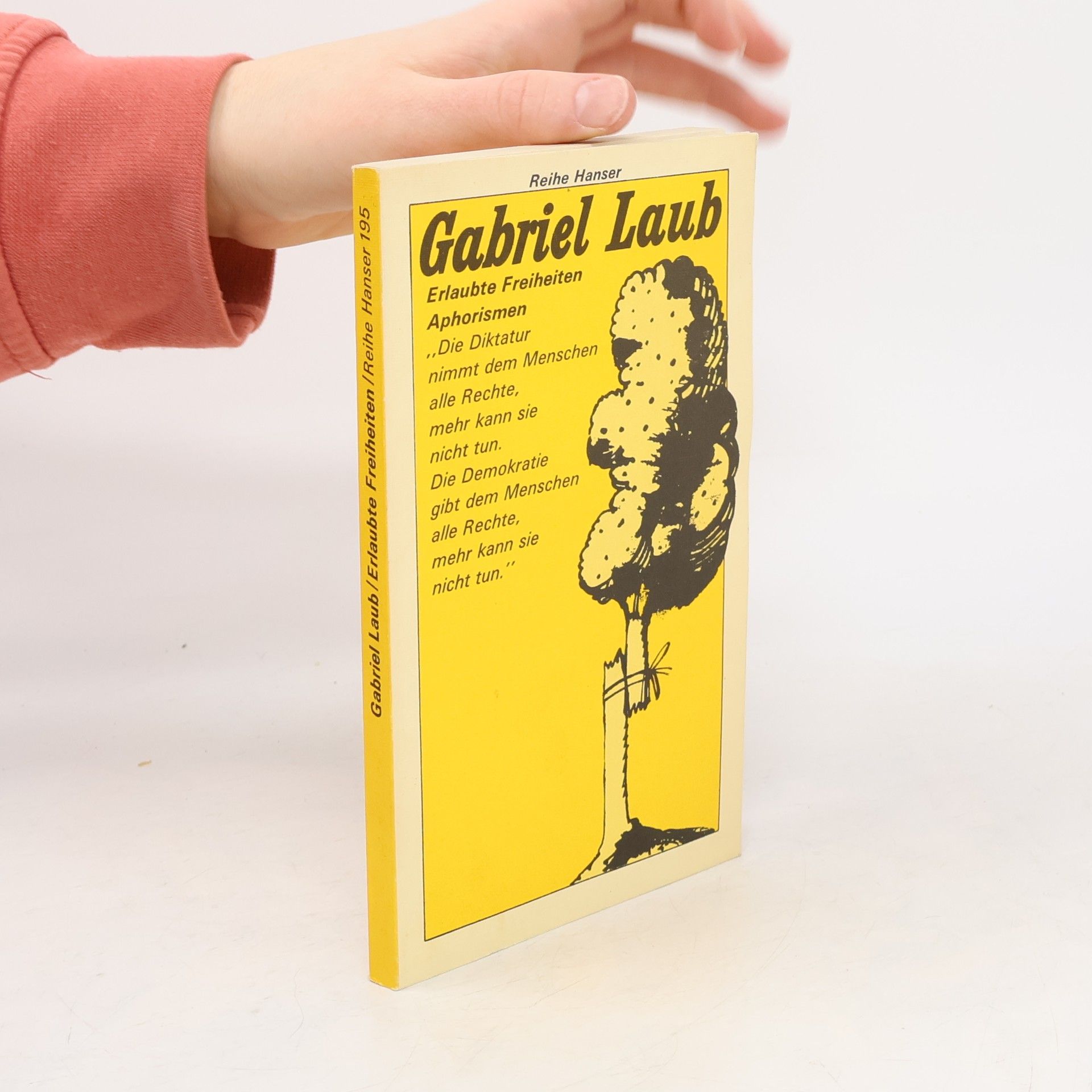 Gabriel Laub Erlaubte Freiheiten