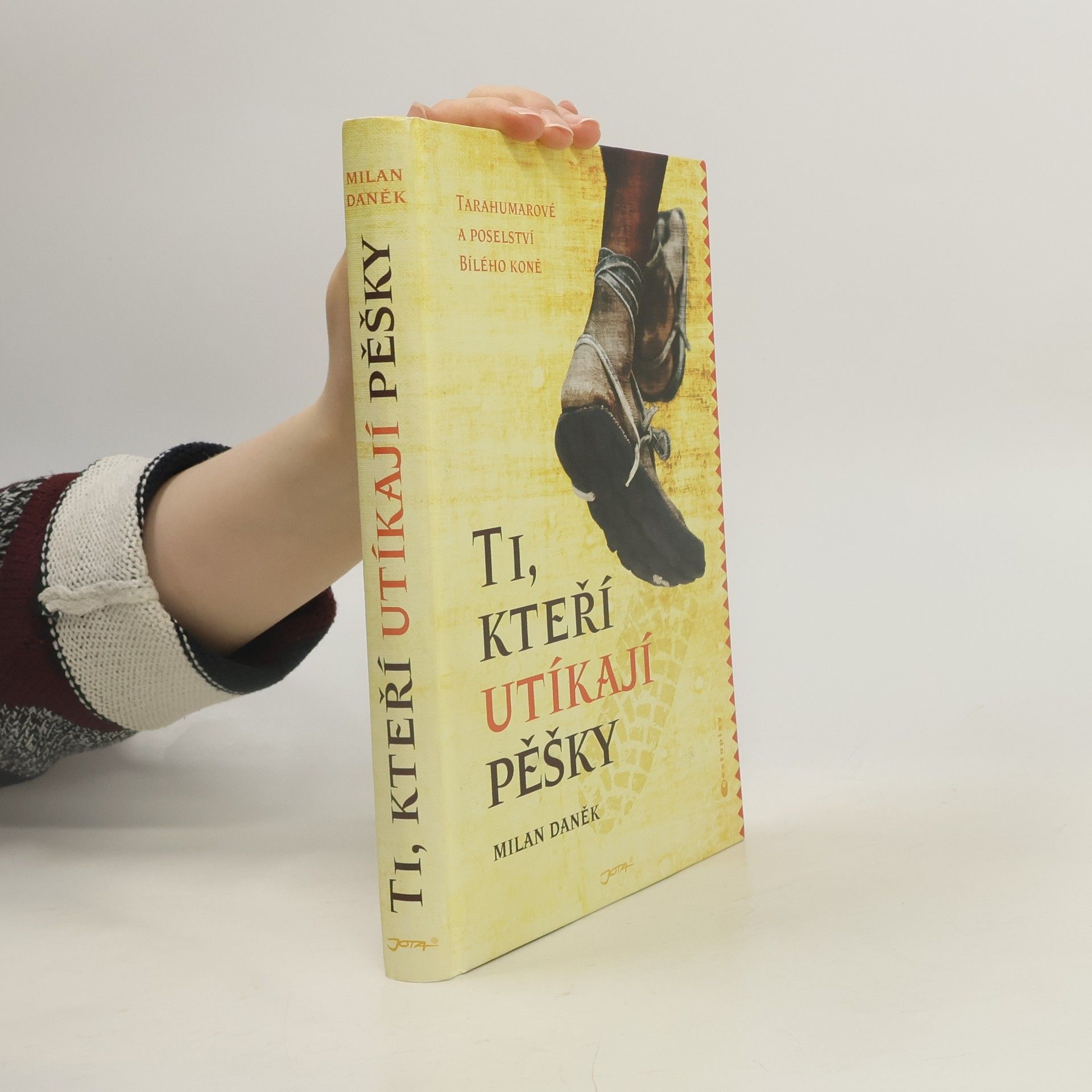 Milan Daněk Ti, kteří utíkají pěšky
