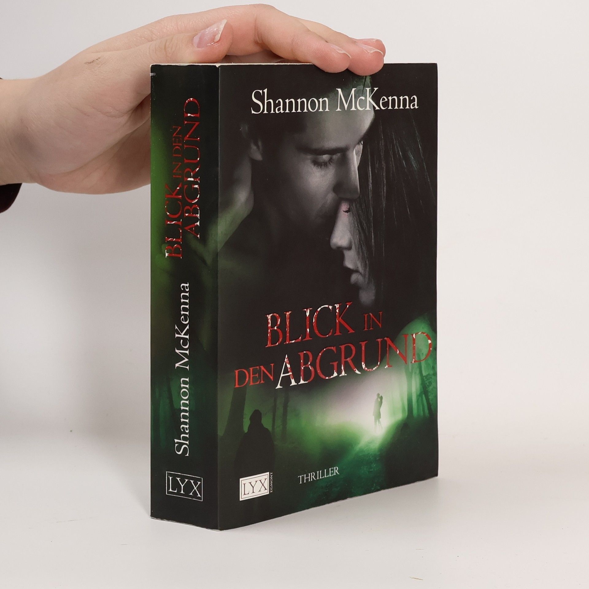 Shannon McKenna Blick in den Abgrund