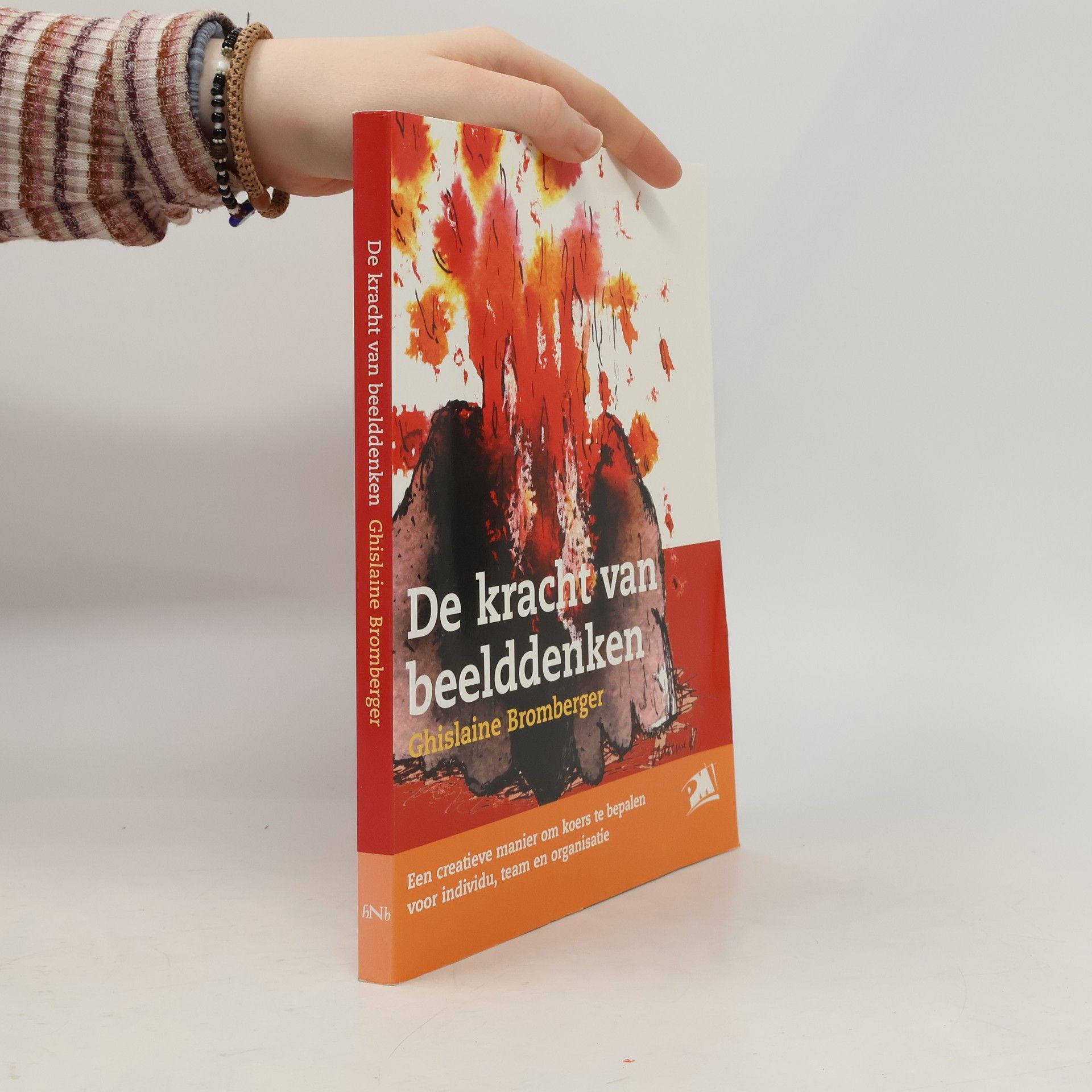 Ghislaine Bromberger De kracht van beelddenken