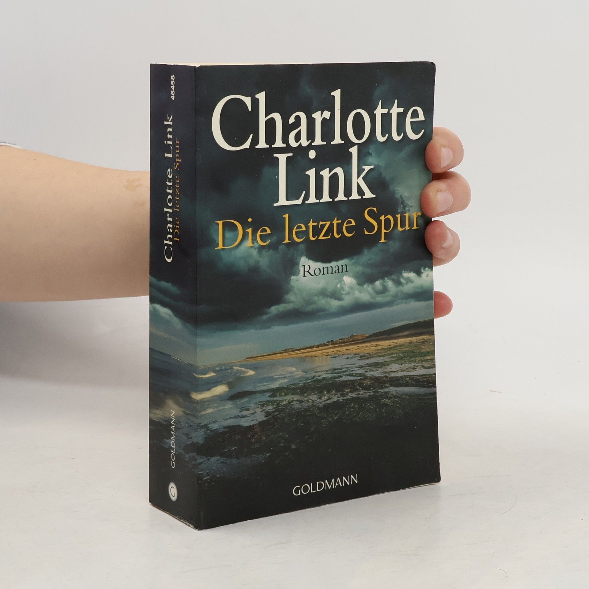 Charlotte Link Die letzte Spur