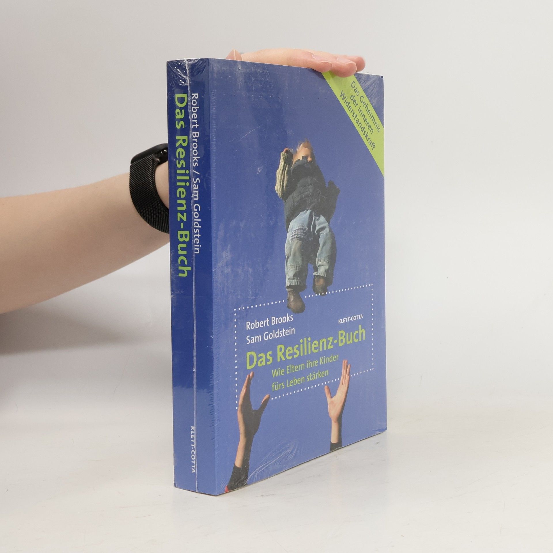 Robert B. Brooks Das Resilienz-Buch