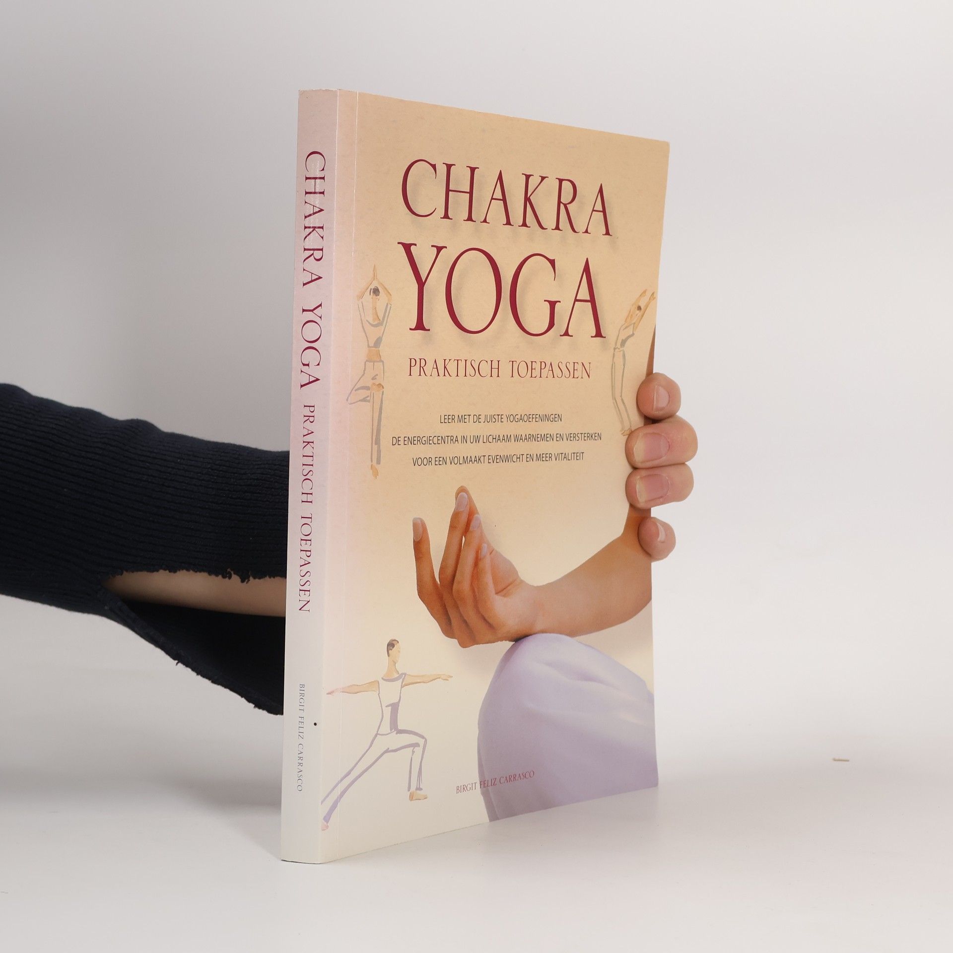 Birgit Feliz Carrasco Chakra yoga praktisch toepassen