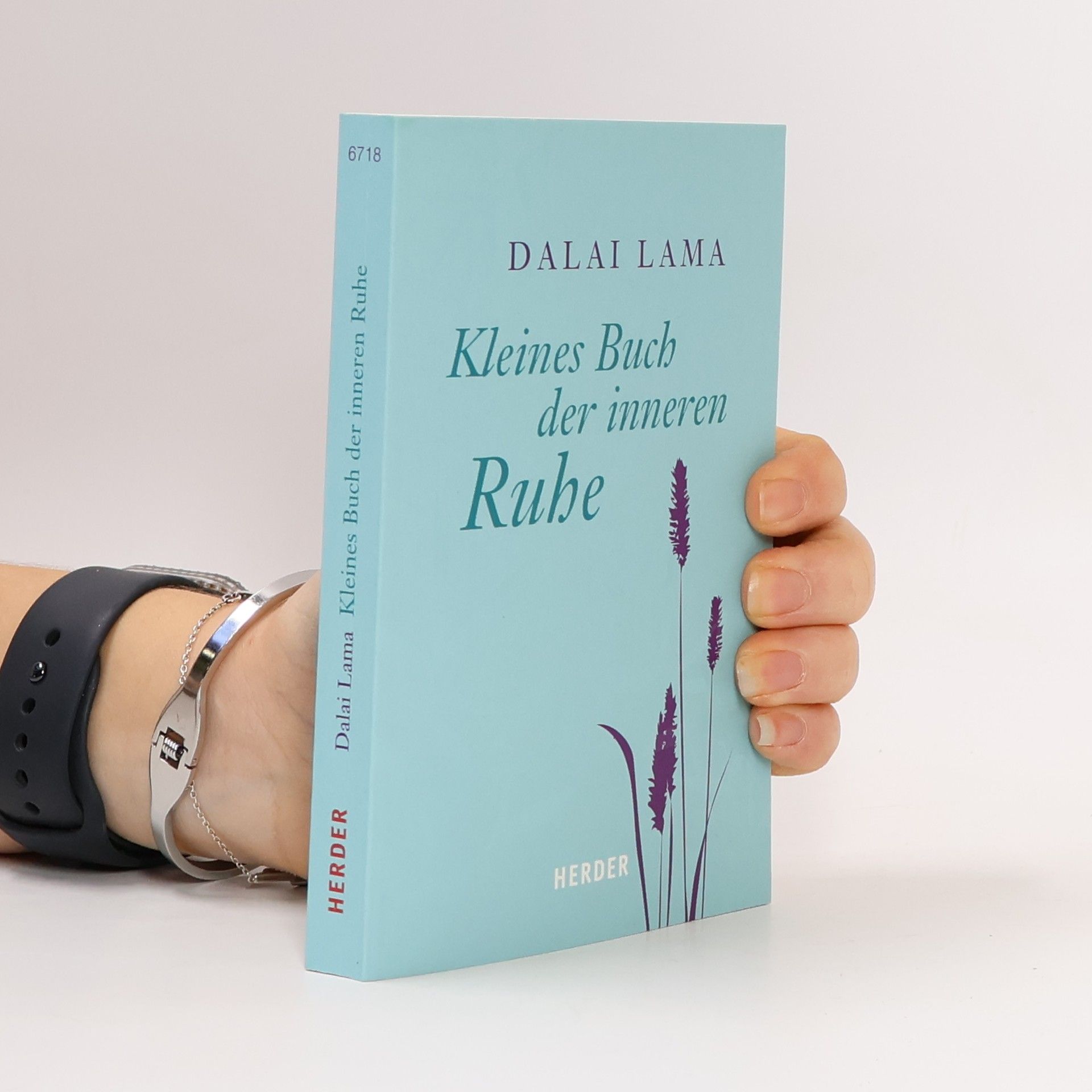 Dalajlama Kleines Buch der inneren Ruhe