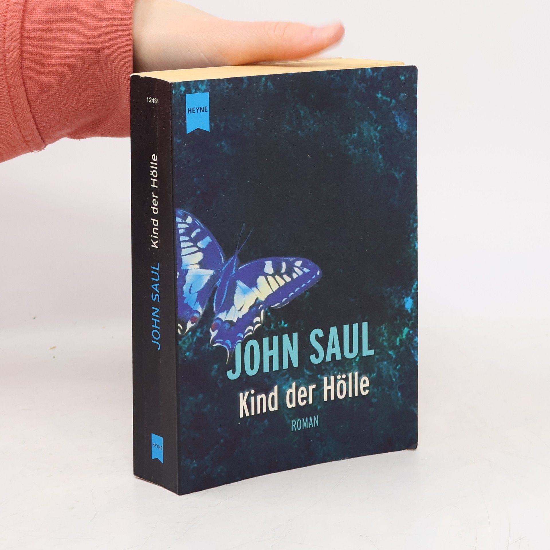 John Saul Kind der Hölle