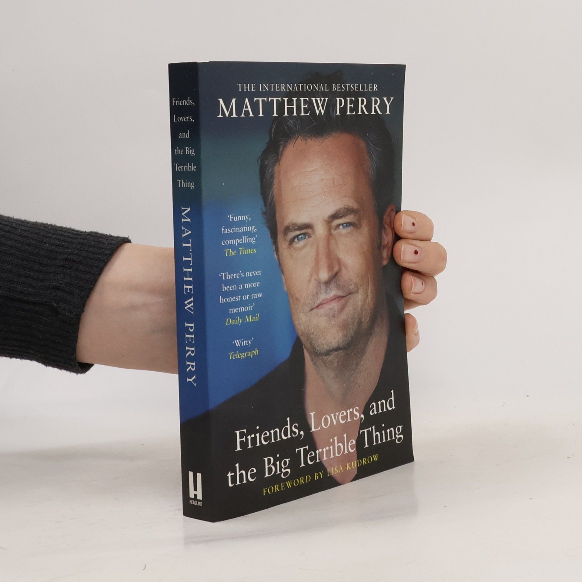 Matthew Perry Friends, Lovers and the Big Terrible Thing