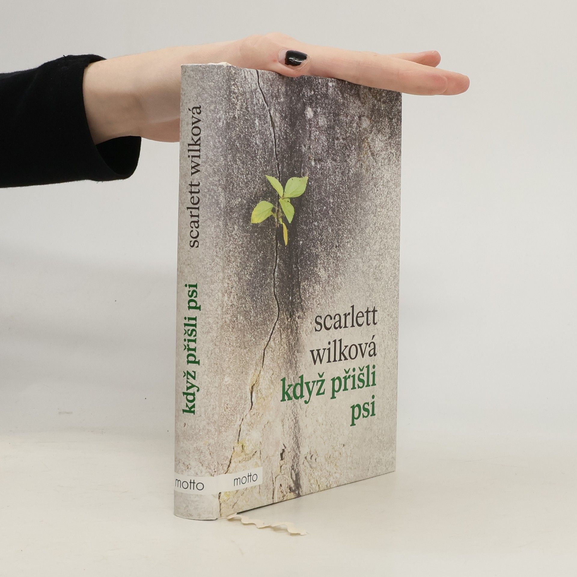 Scarlett Wilková Když přišli psi