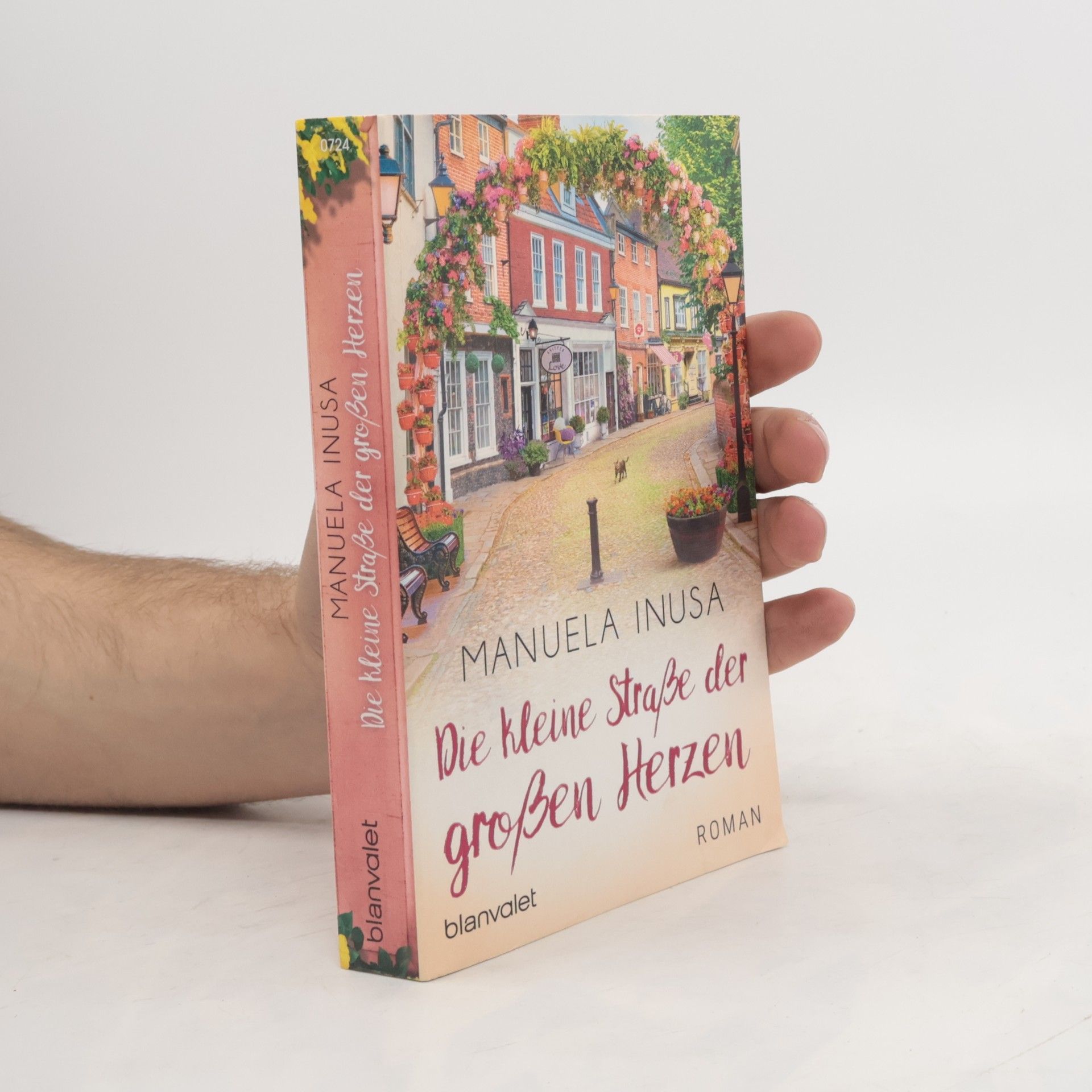 Manuela Inusa Die kleine Straße der großen Herzen