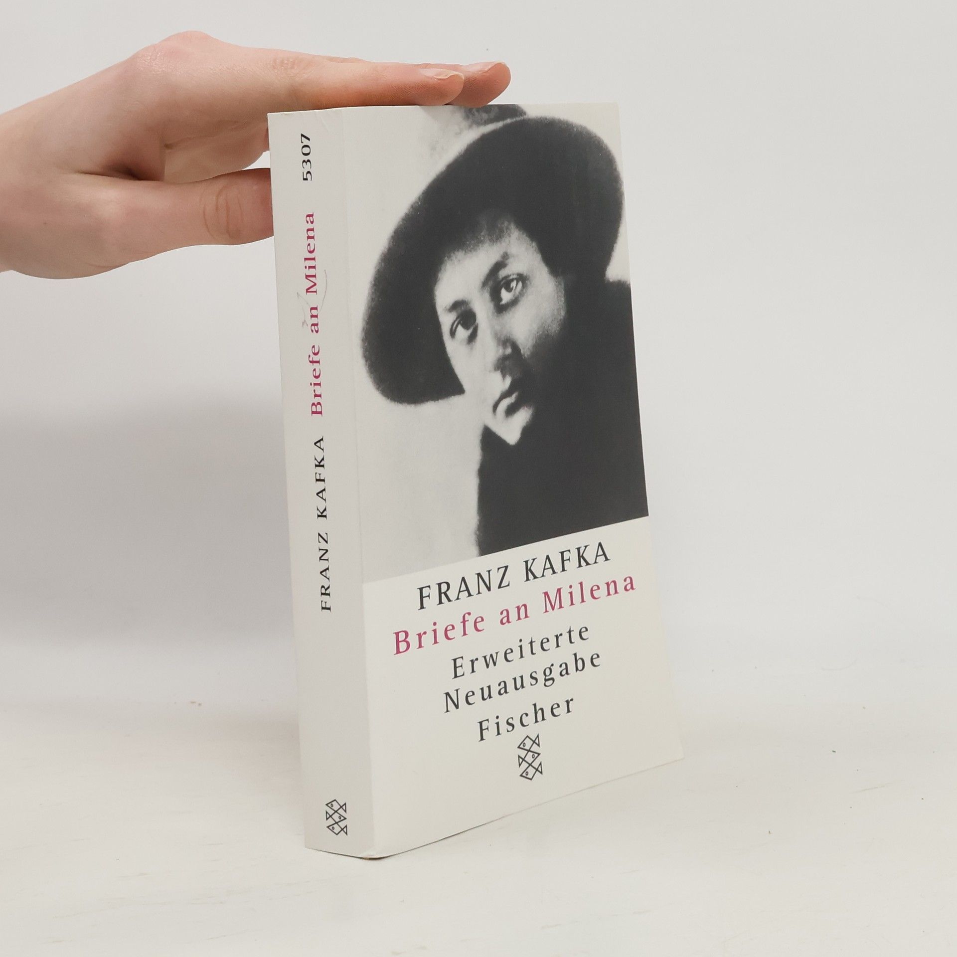 Franz Kafka Briefe an Milena