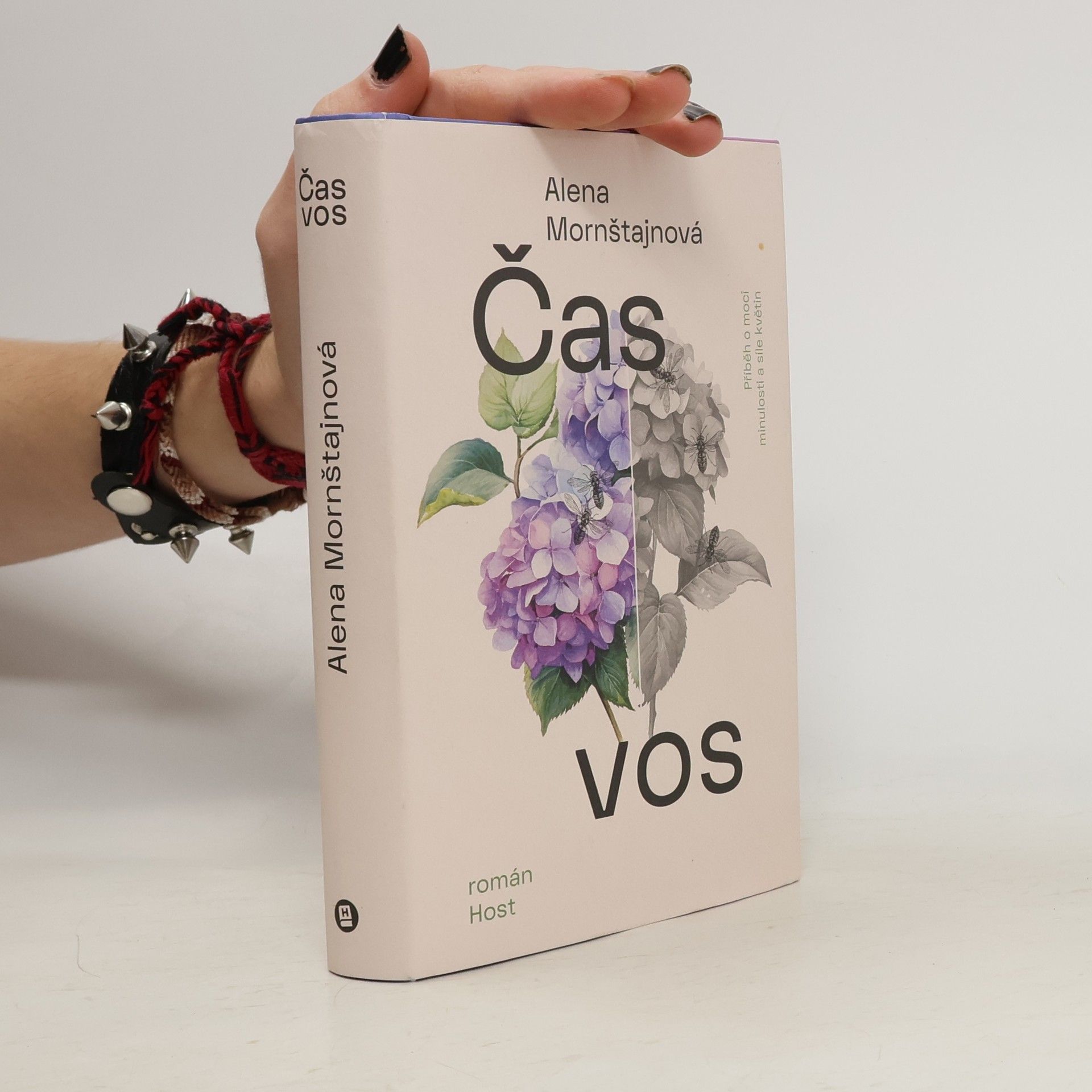 Alena Mornštajnová Čas vos