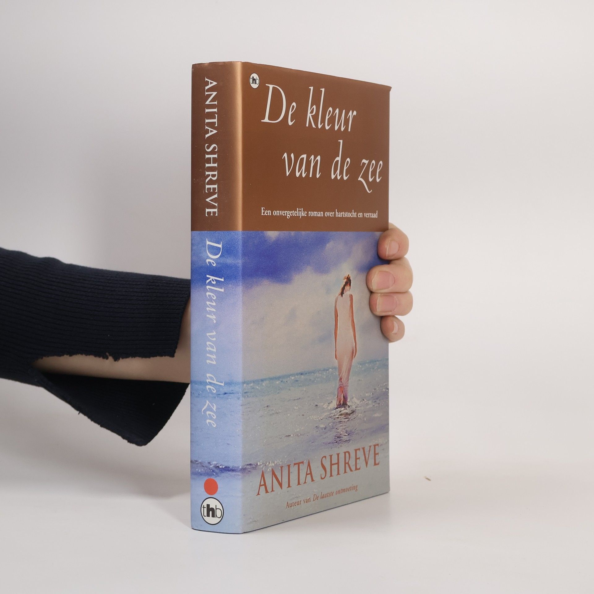 Anita Shreve De kleur van de zee