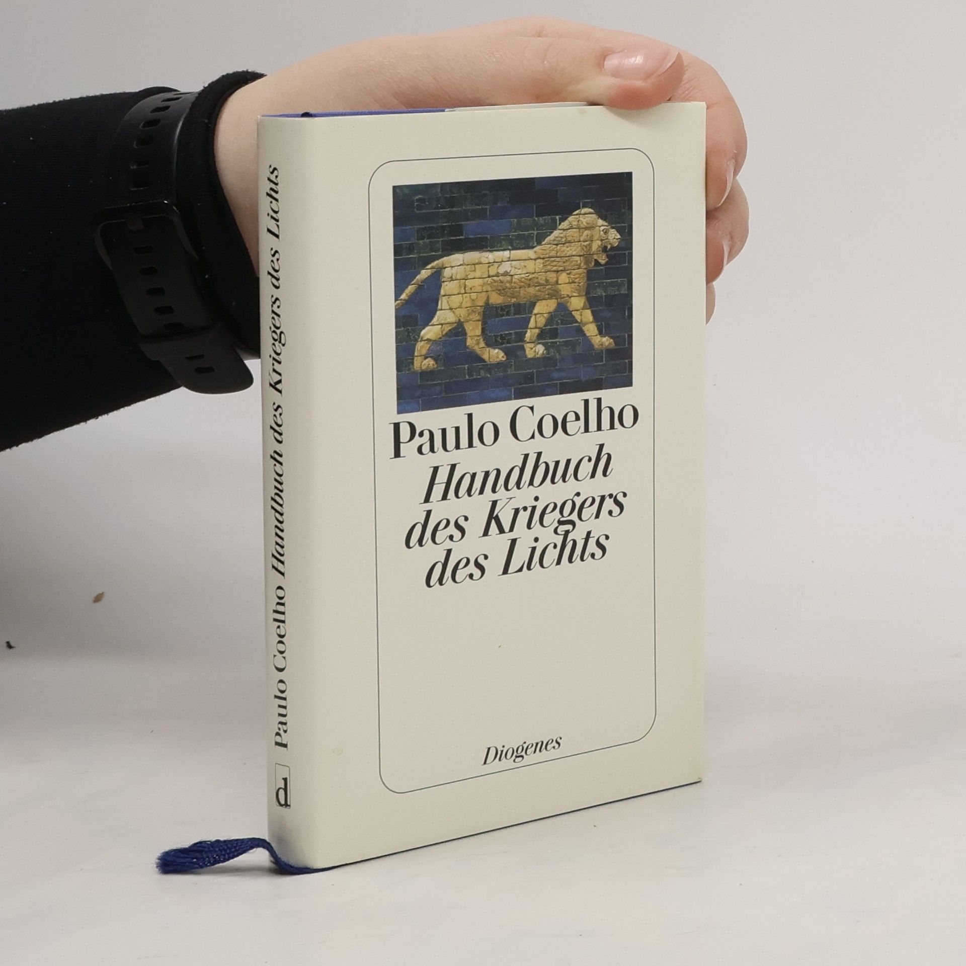 Paulo Coelho Handbuch des Kriegers des Lichts