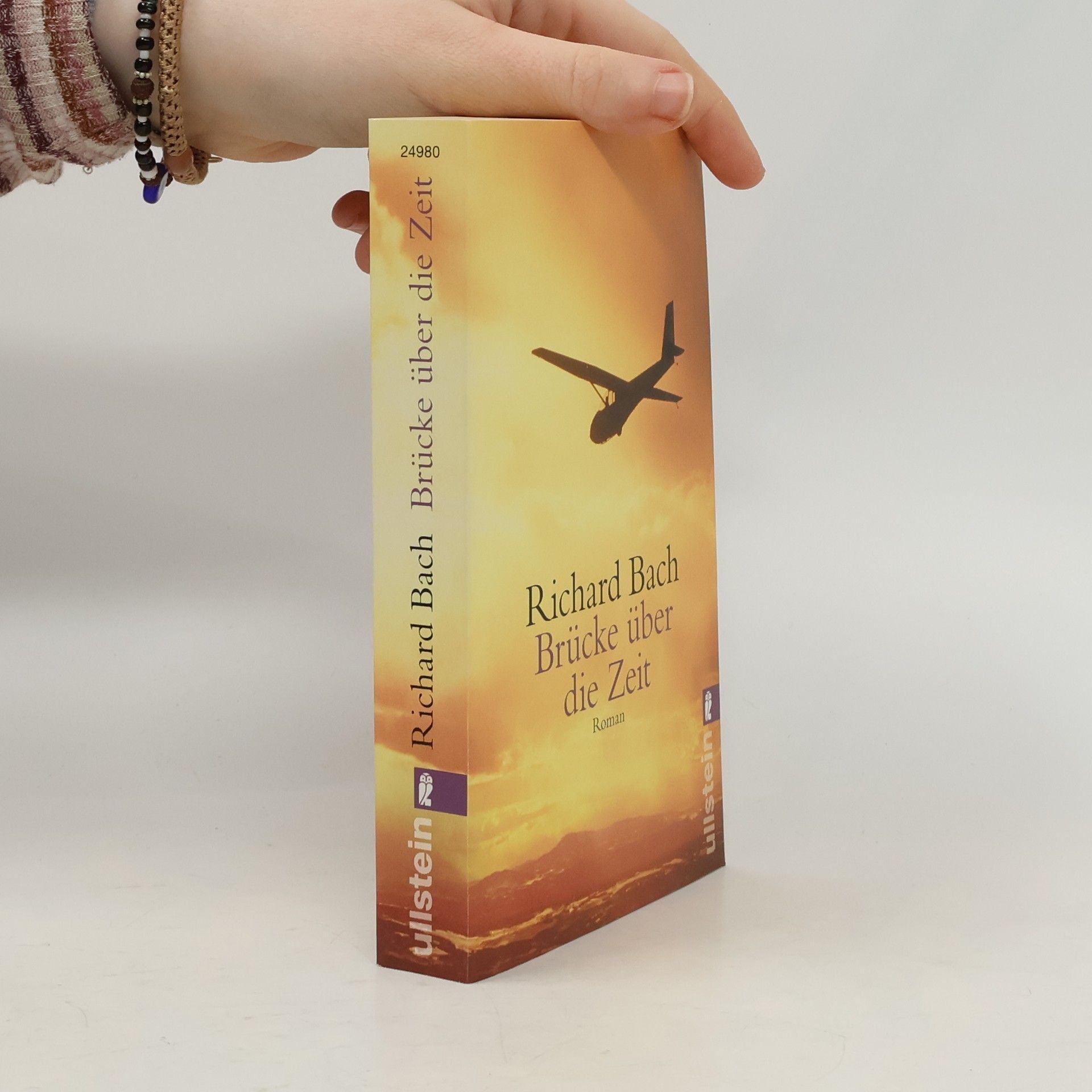 Richard Bach Brücke über die Zeit