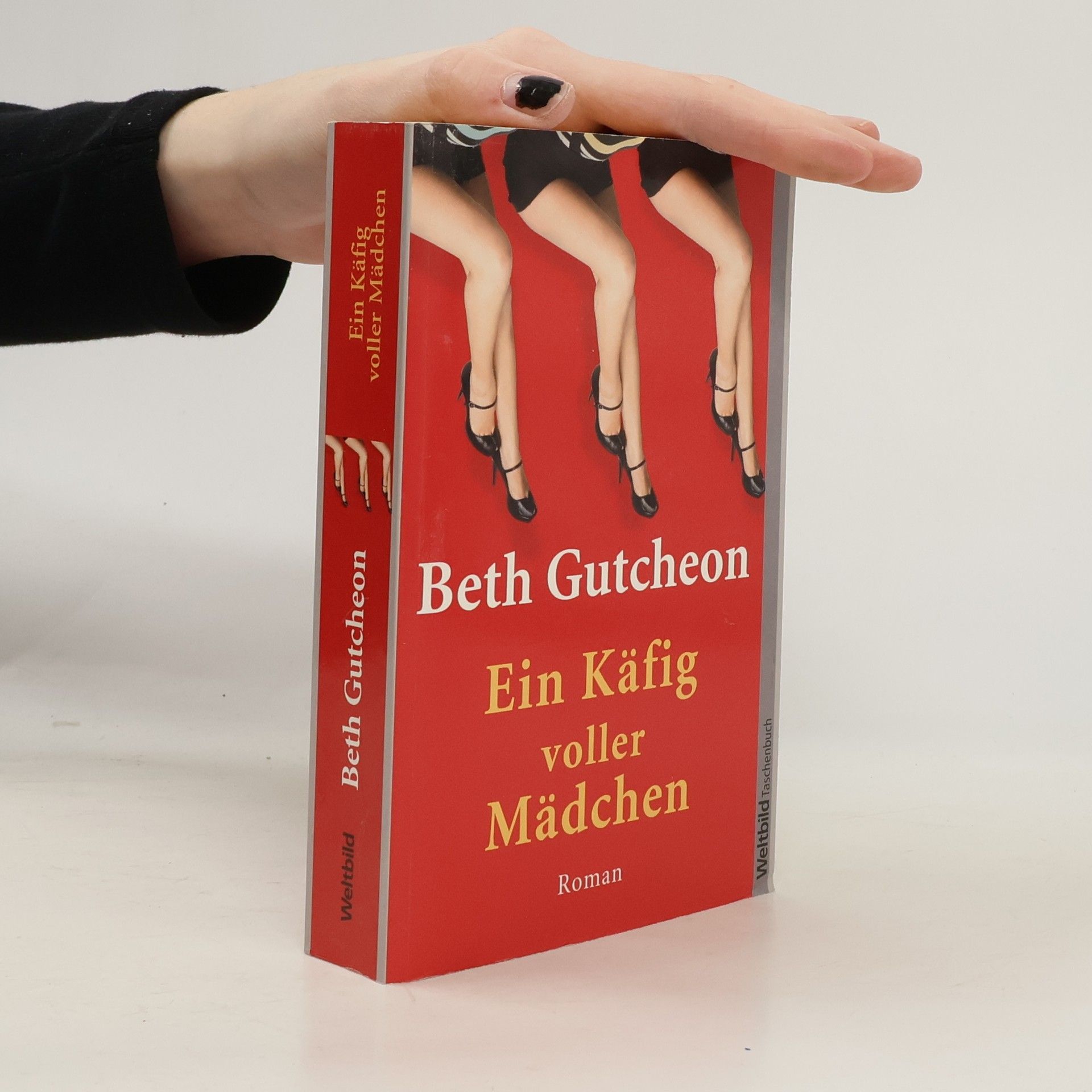 Beth Gutcheon Ein Käfig voller Mädchen
