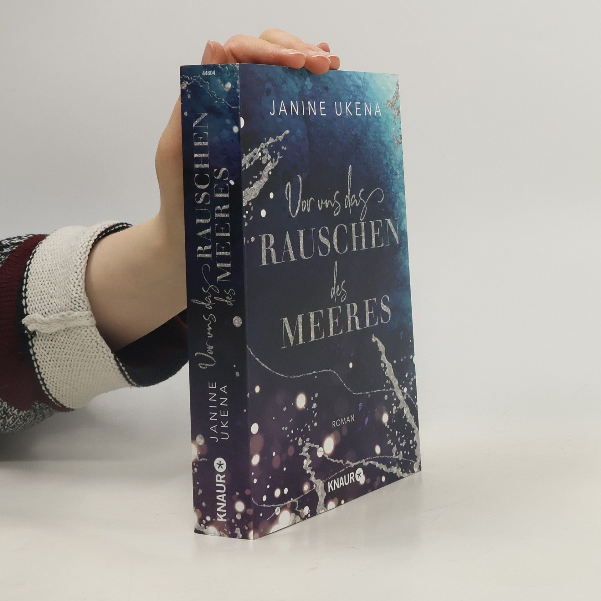 Janine Ukena Vor uns das Rauschen des Meeres
