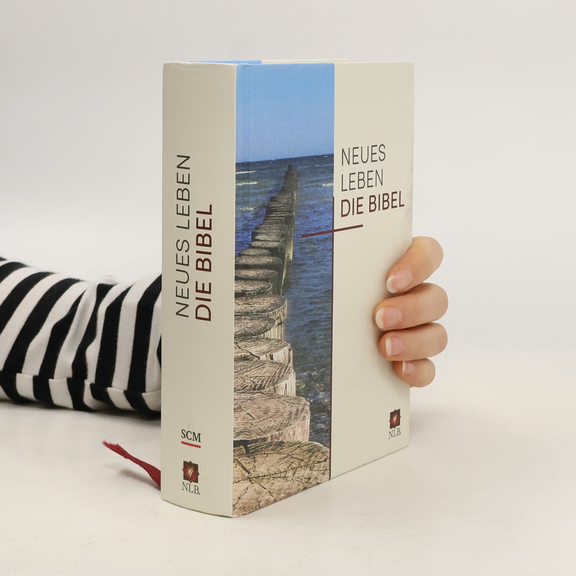 Autorenkollektiv Neues Leben. Die Bibel. Taschenausgabe, Motiv "Buhnen"
