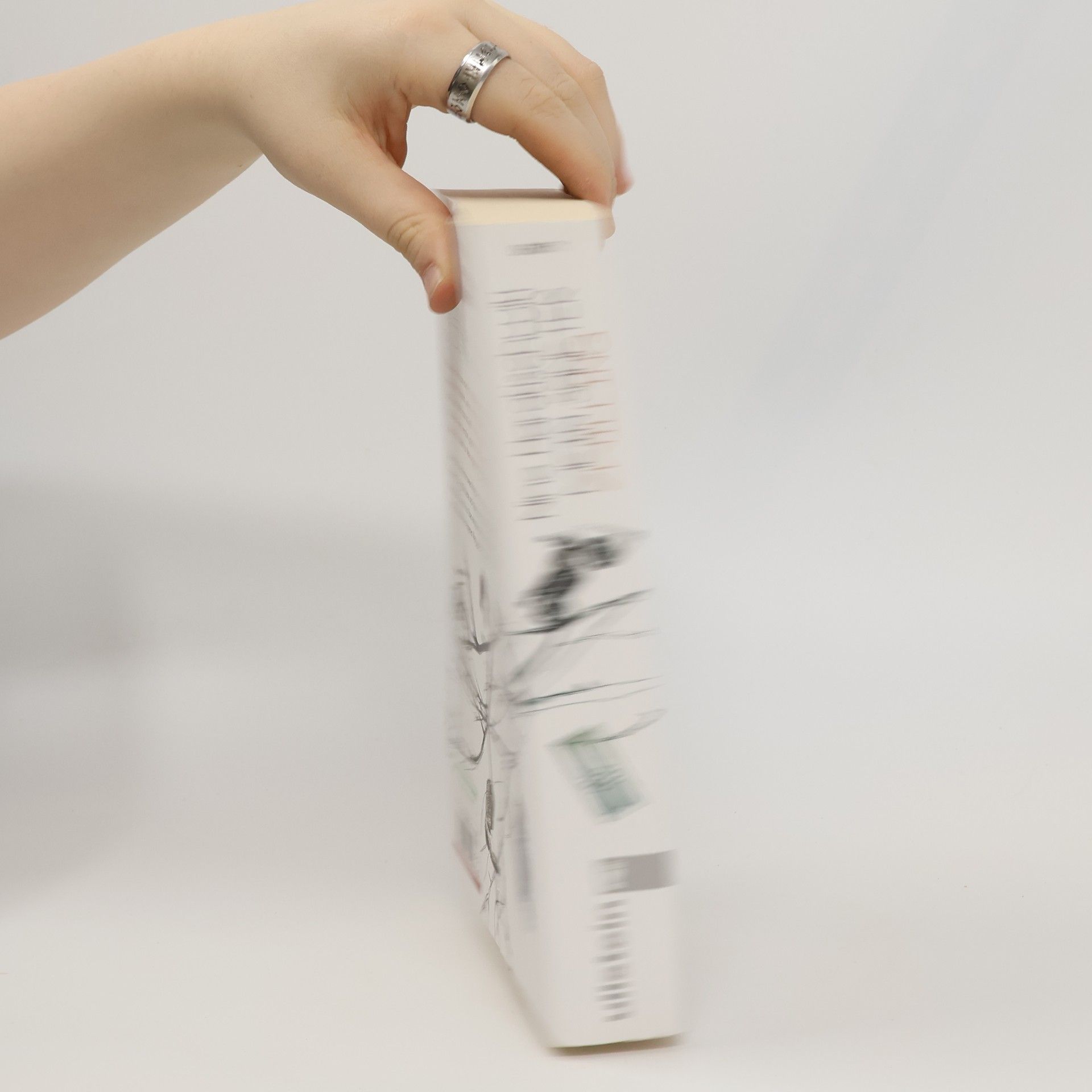 Nino Haratischwili Mein sanfter Zwilling : Roman