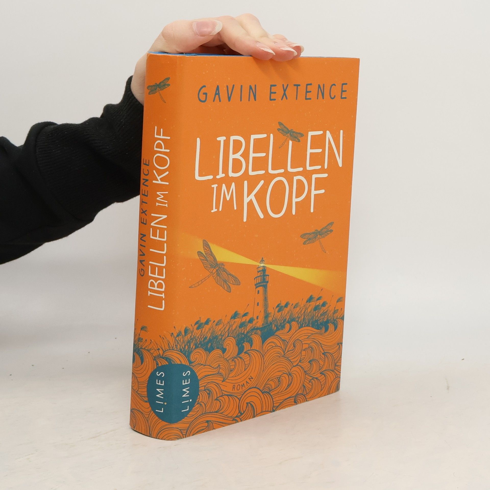 Gavin Extence Libellen im Kopf