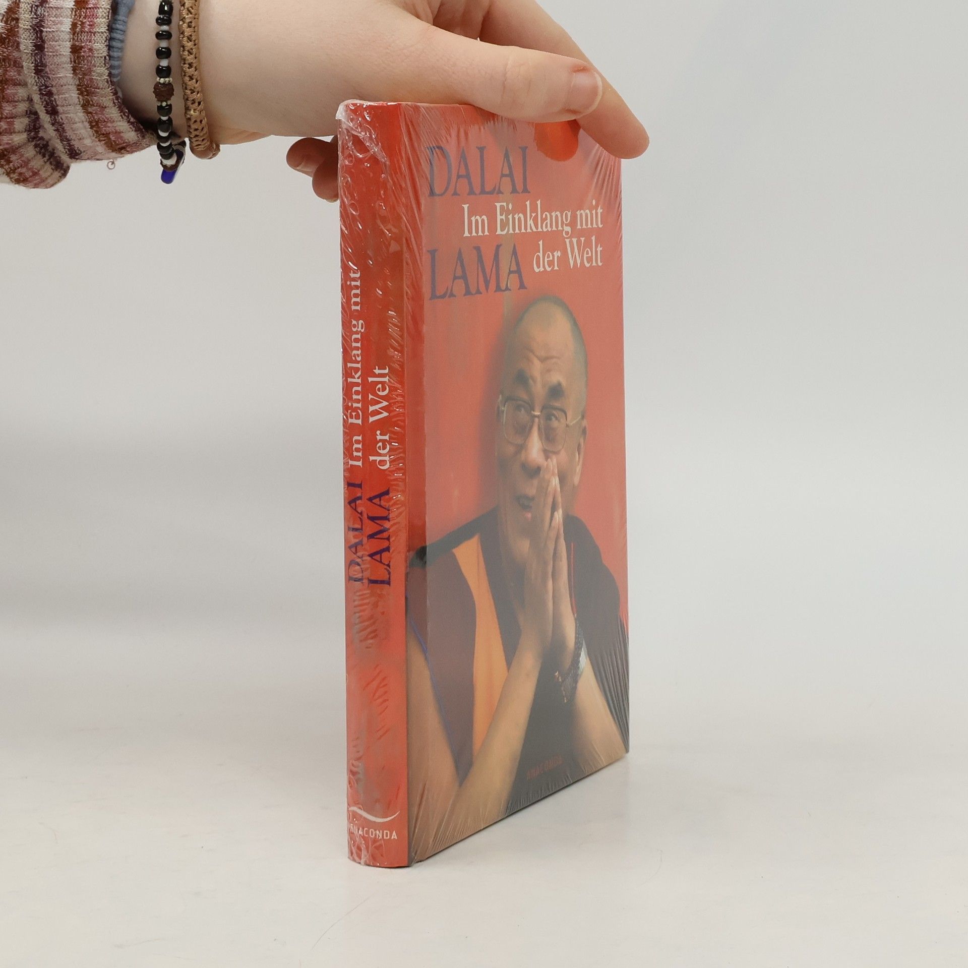 Dalaï-Lama Im Einklang mit der Welt