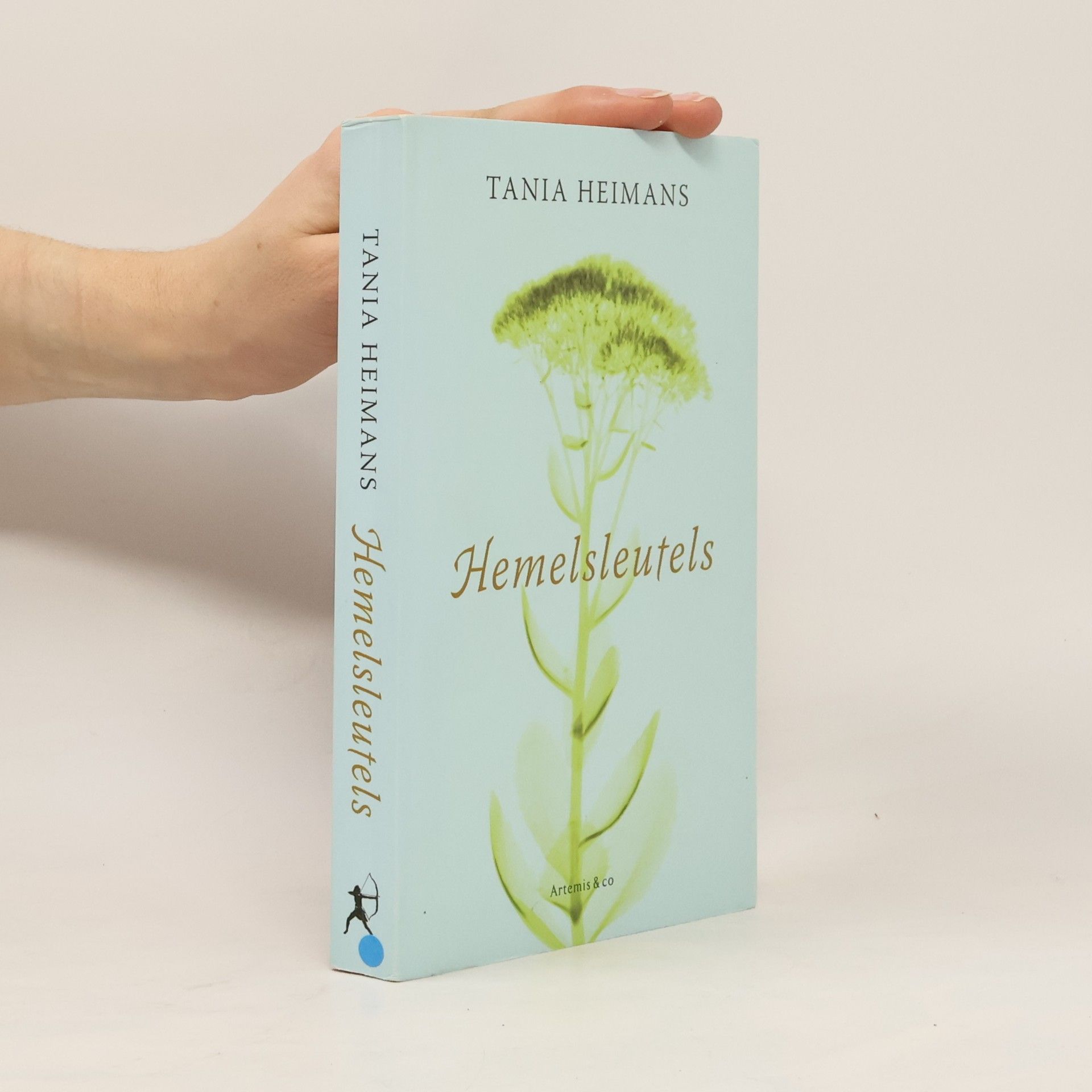 Tania Heimans Hemelsleutels