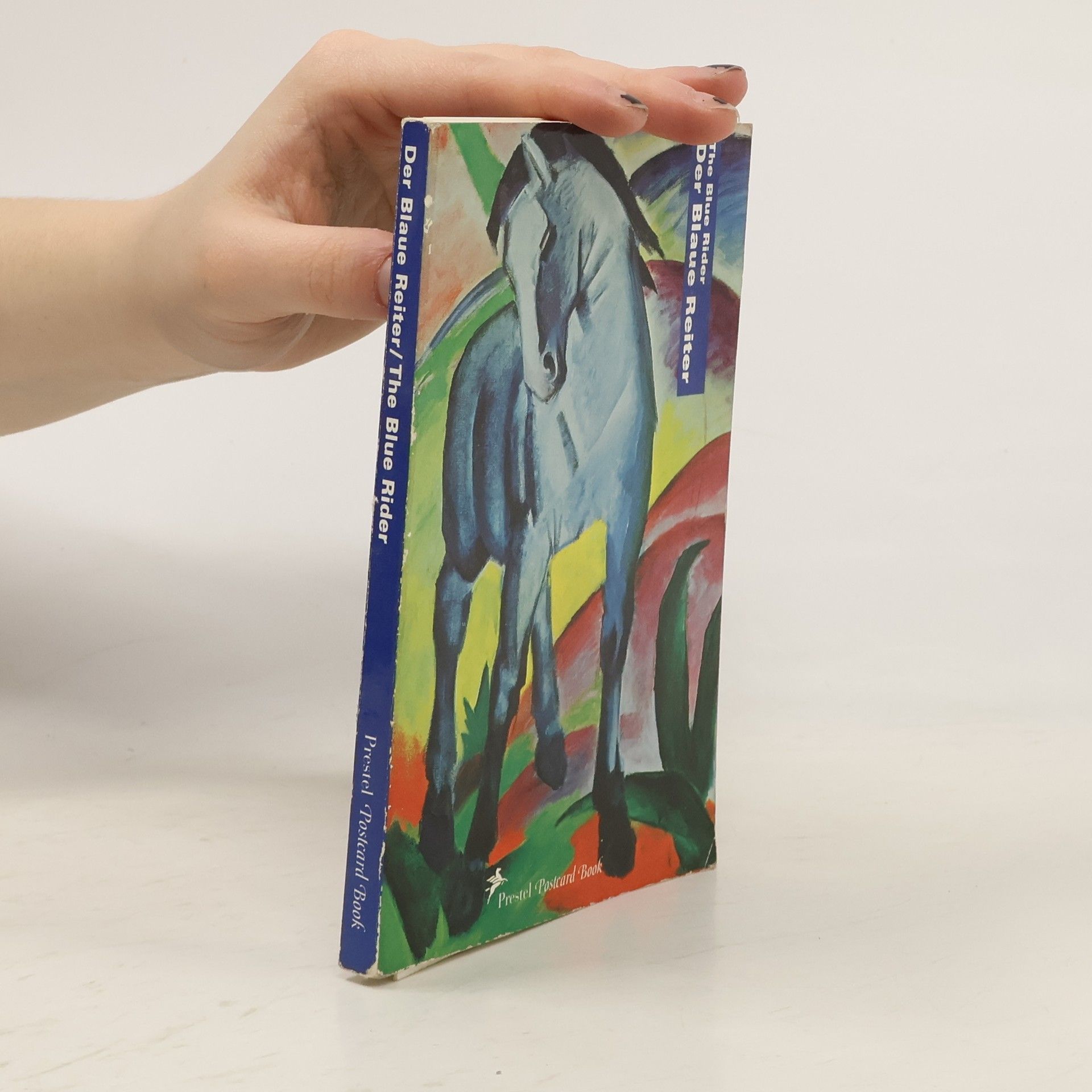 Kolektív autorov Der Blaue Reiter