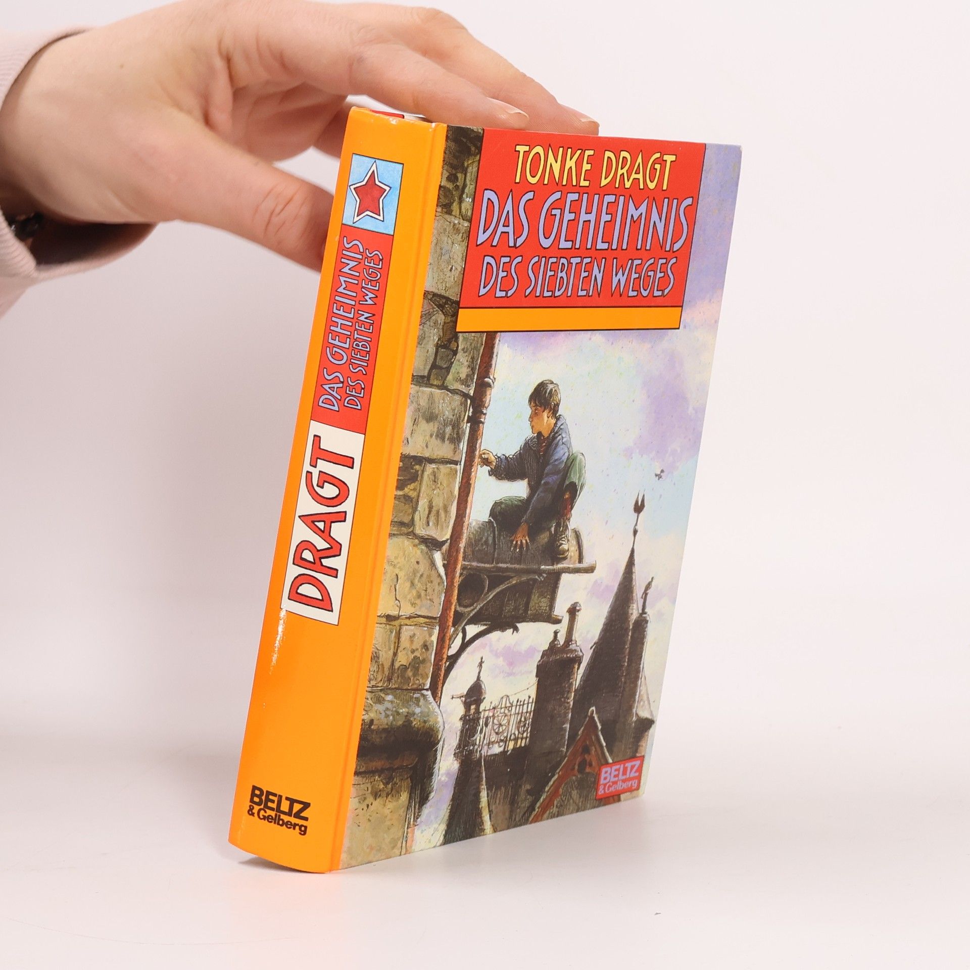 Tonke Dragt Das Geheimnis des siebten Weges