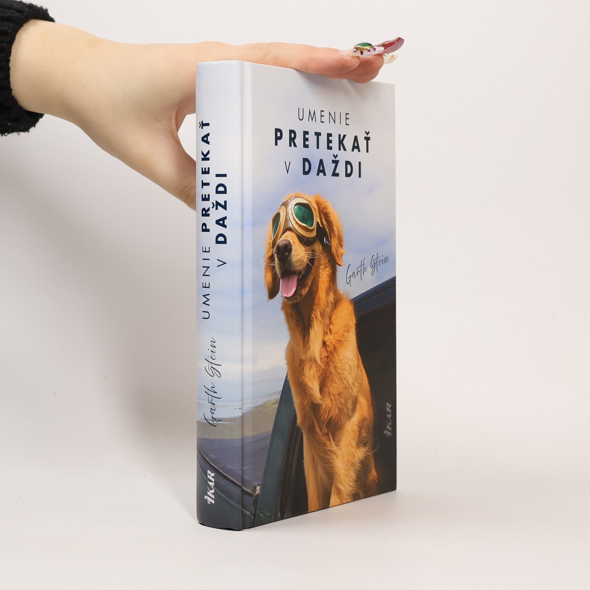 Garth Stein Umenie pretekať v daždi