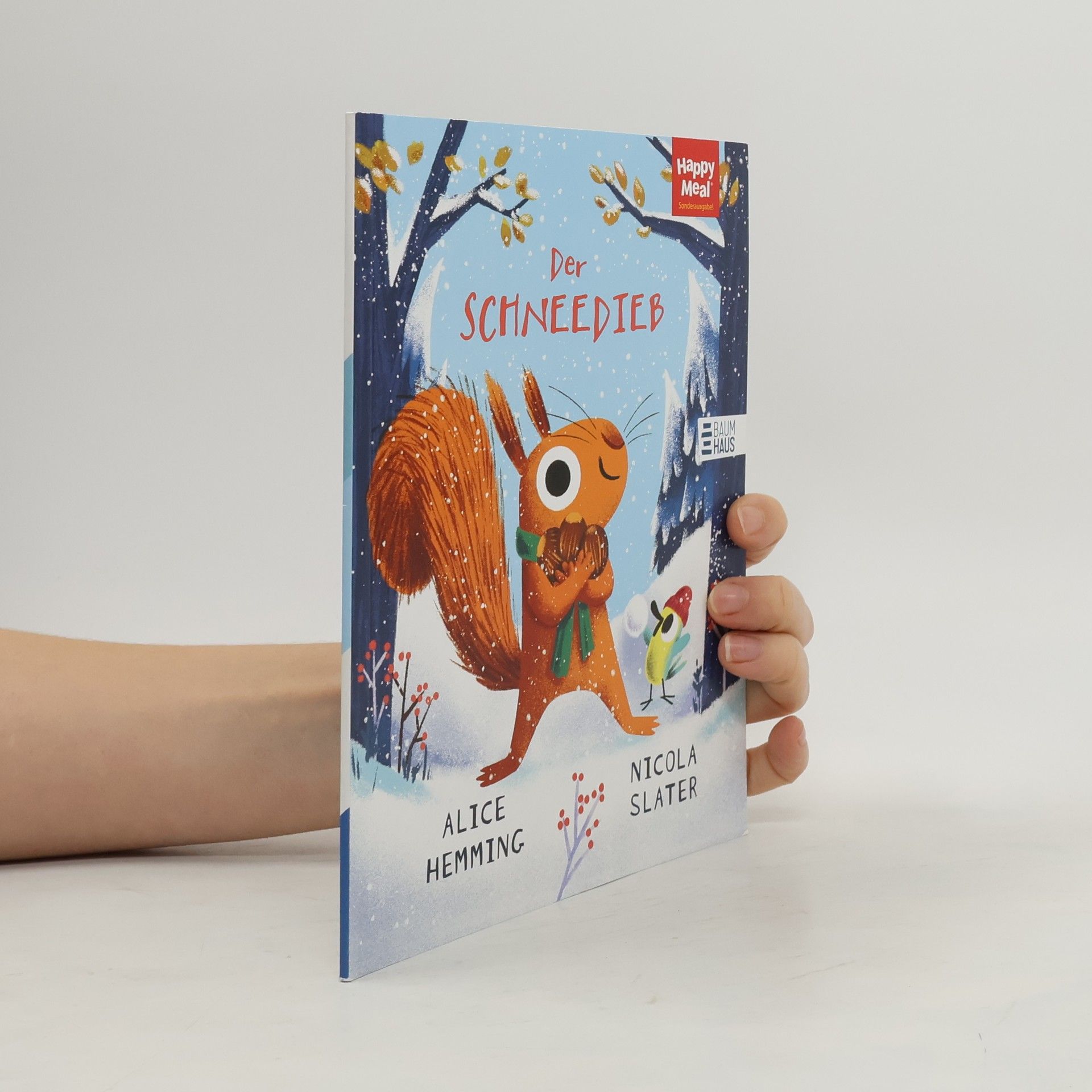 Alice Hemming Der Schneedieb