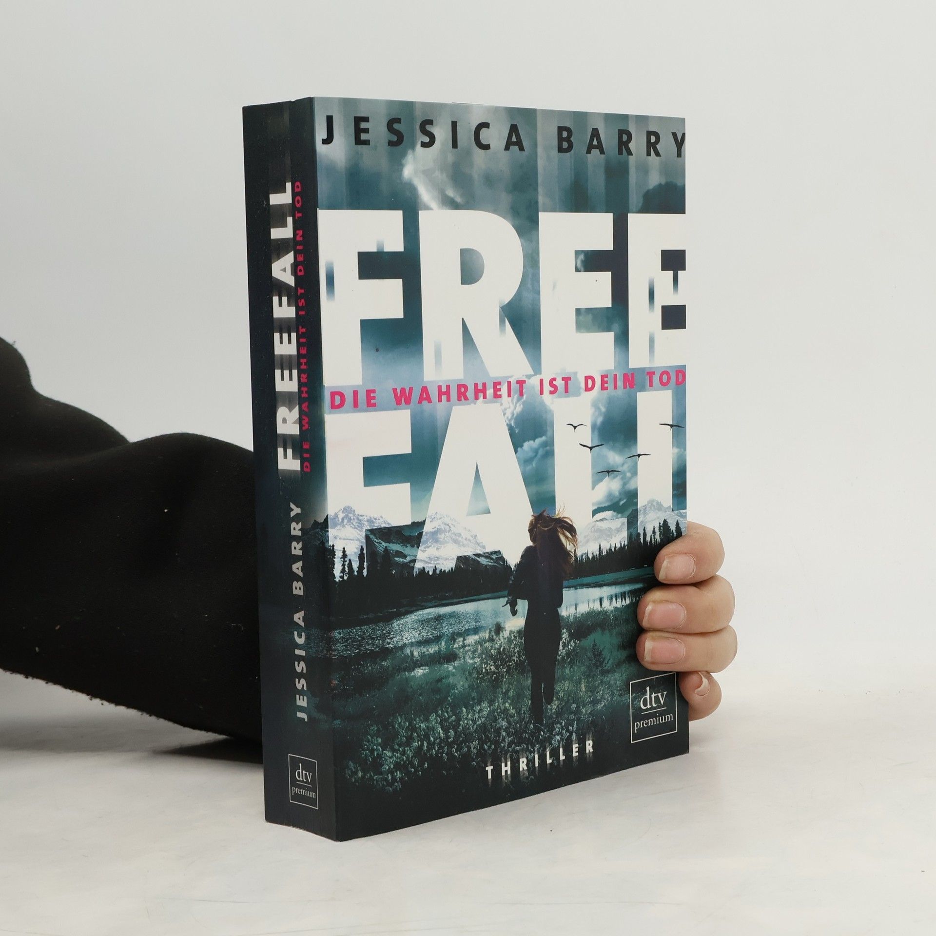 Jessica Barry Freefall – die Wahrheit ist dein Tod